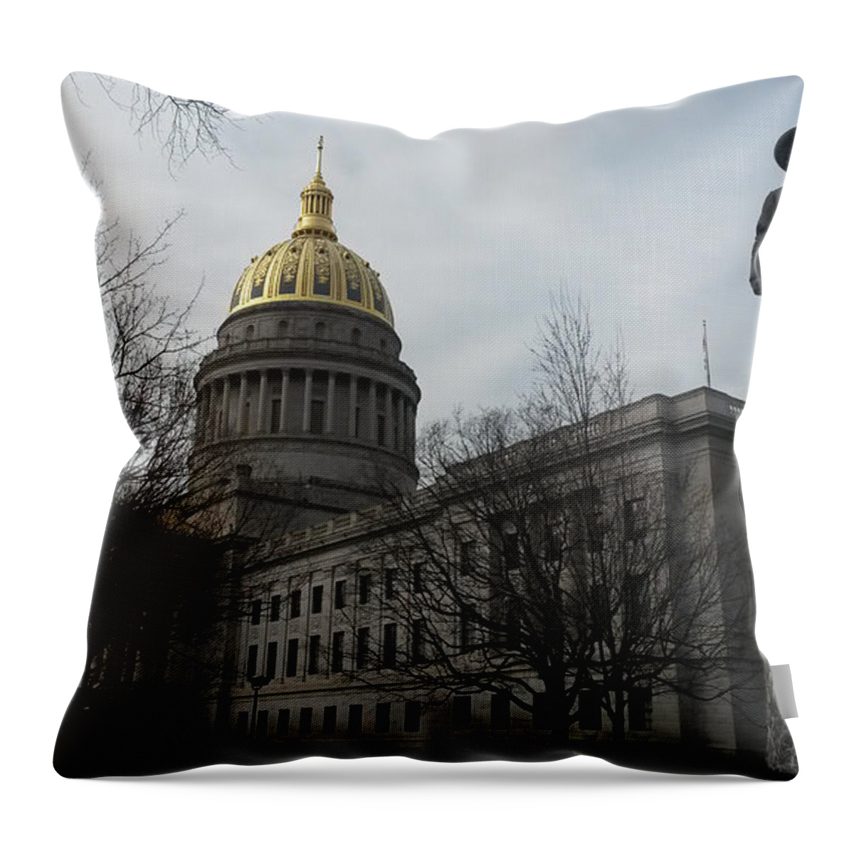 Power Throw Pillow featuring the photograph Power by Katherine Williams