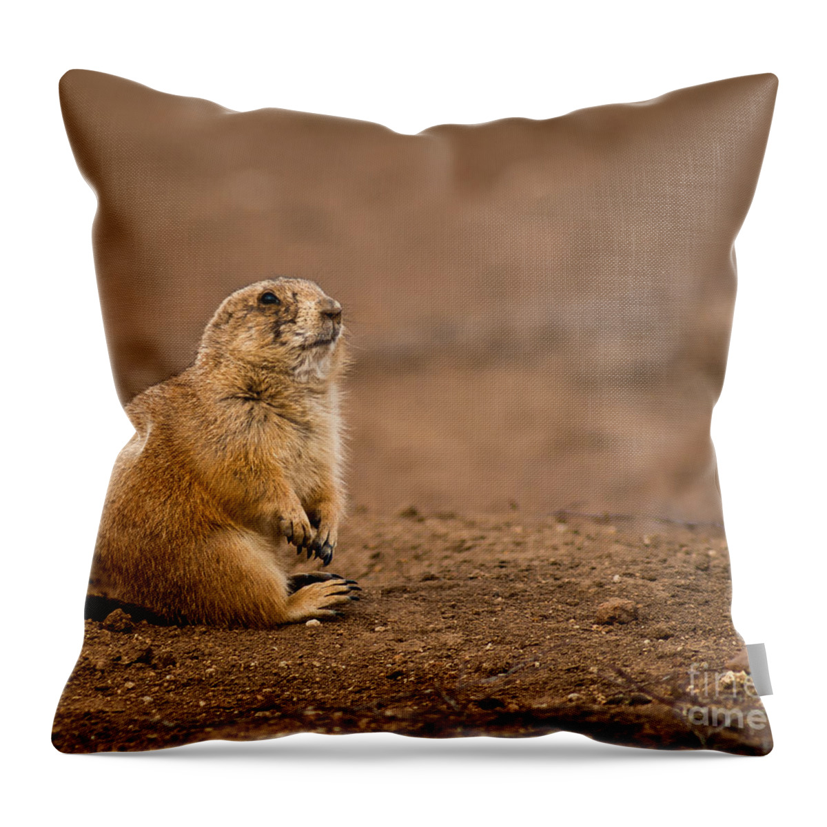 Animal Throw Pillow featuring the photograph Prairie Dog On Dirt by Robert Frederick