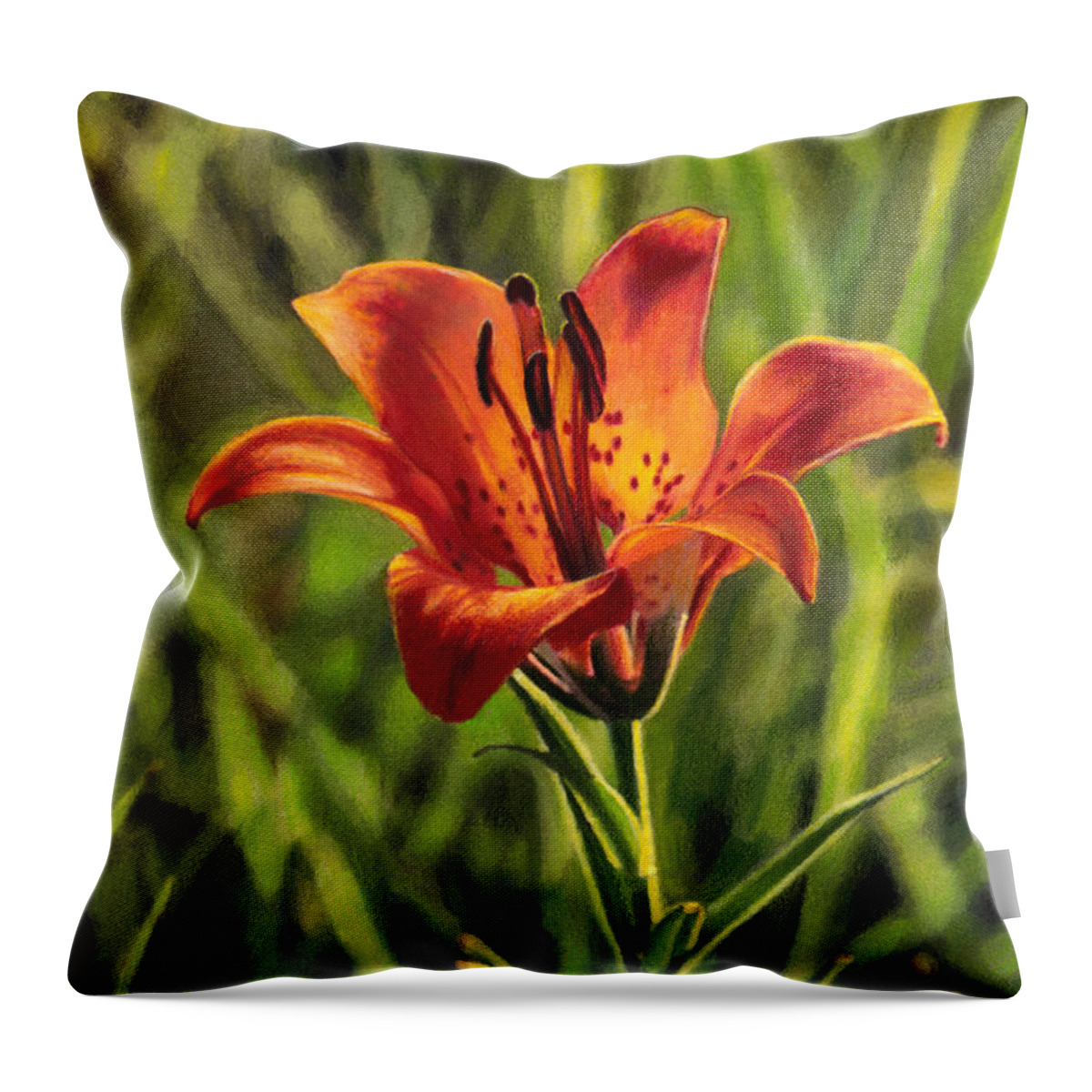 Wildflower Throw Pillow featuring the drawing Prairie Lily by Bruce Morrison
