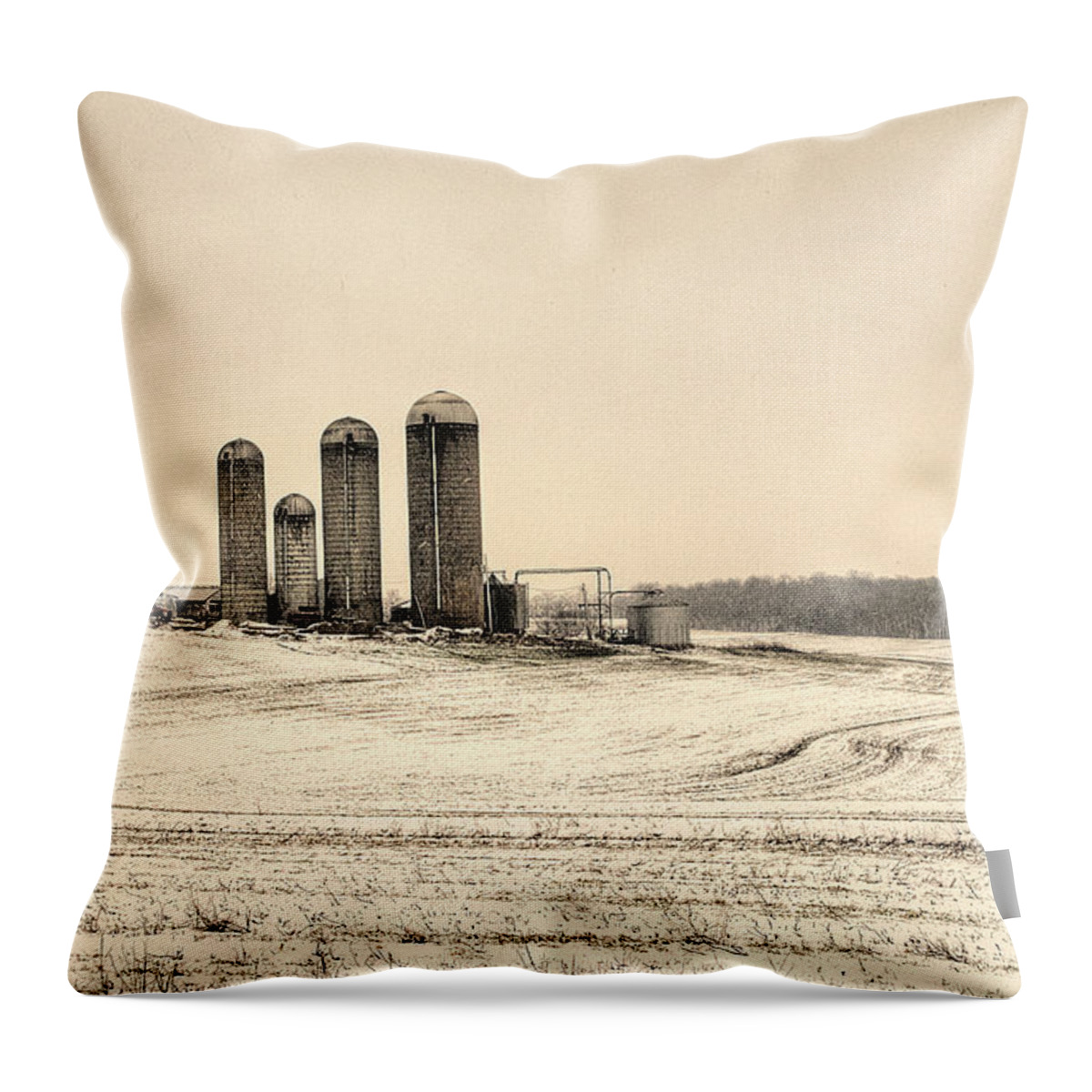 Prairie Stonehenge Throw Pillow featuring the photograph Prairie Stonehenge in February by William Fields