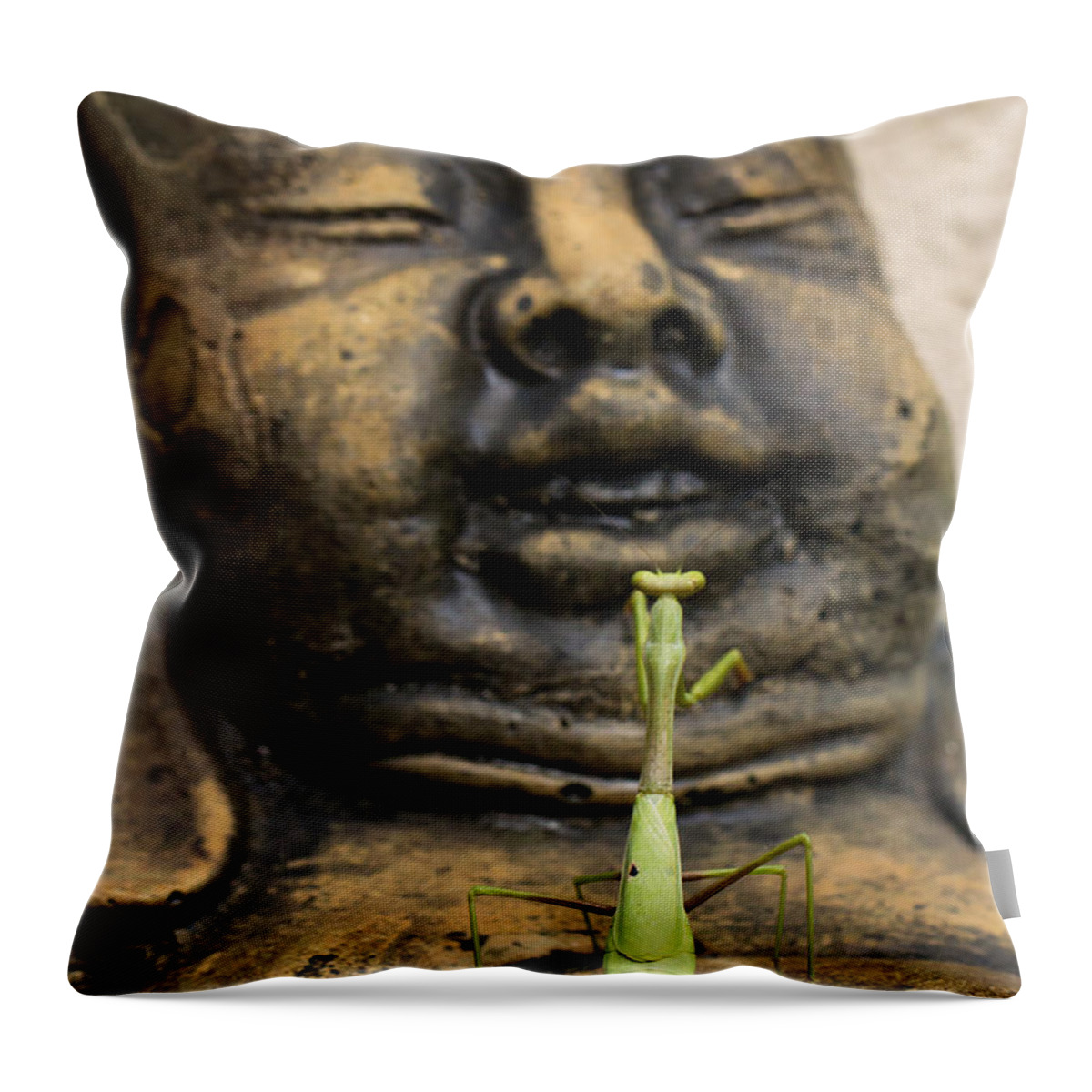 Seabrook Island Throw Pillow featuring the photograph Praying by Patricia Schaefer