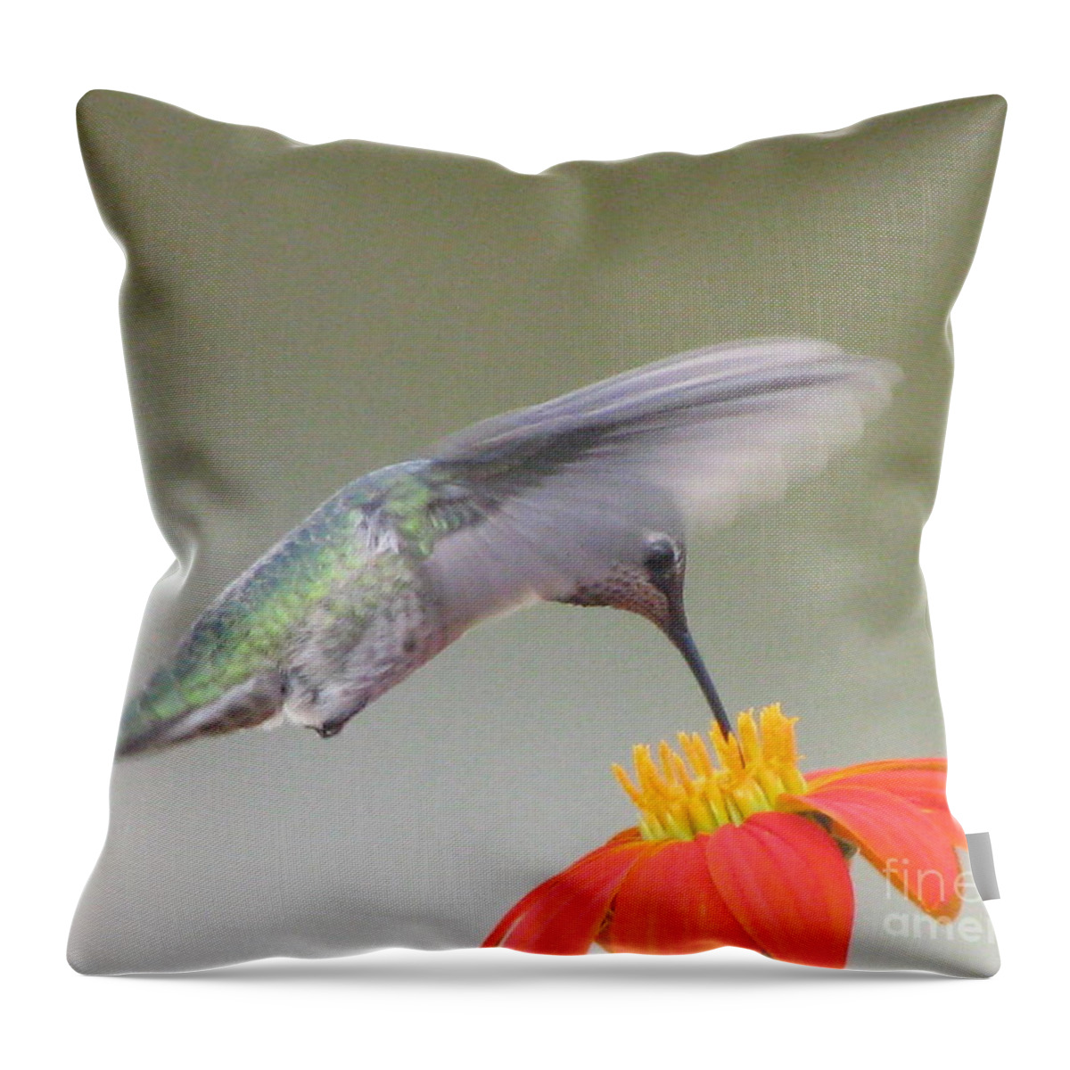 Hummingbird Throw Pillow featuring the photograph Precision by Holy Hands