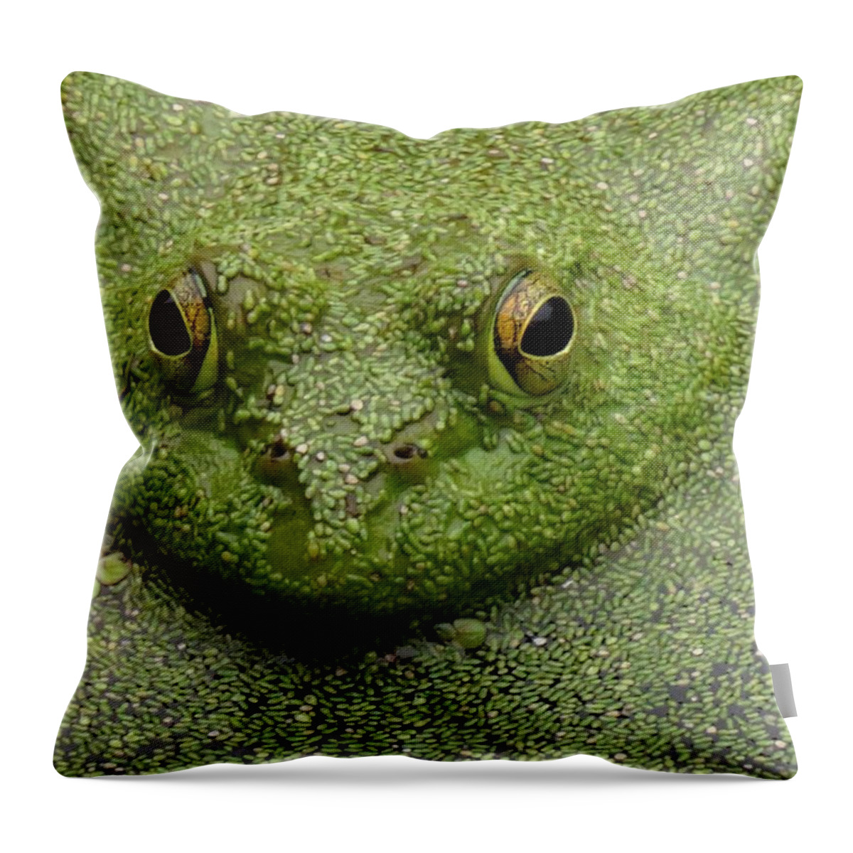 Bullfrog Throw Pillow featuring the digital art Predator by I'ina Van Lawick