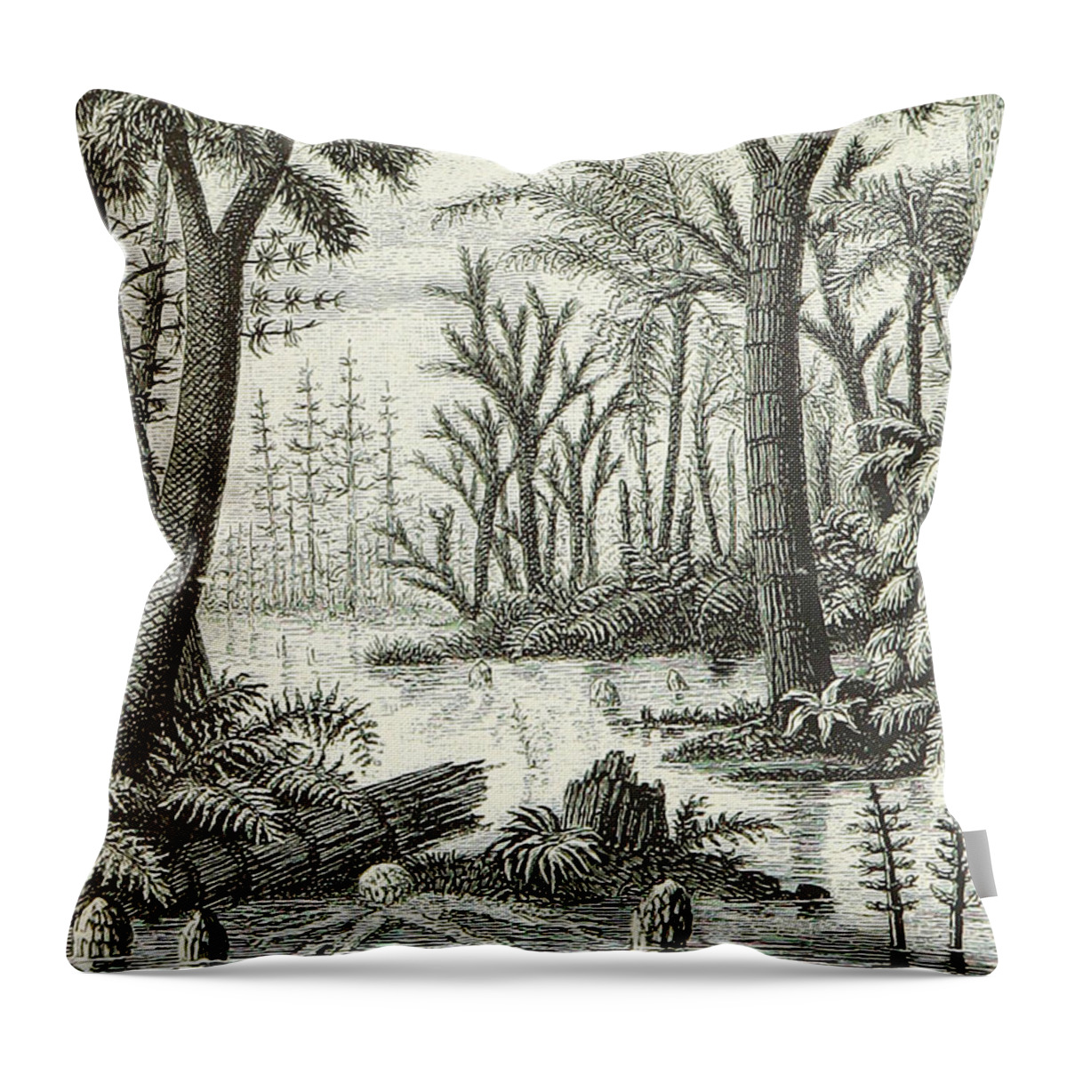 Historic Throw Pillow featuring the photograph Prehistoric Flora, Carboniferous by British Library
