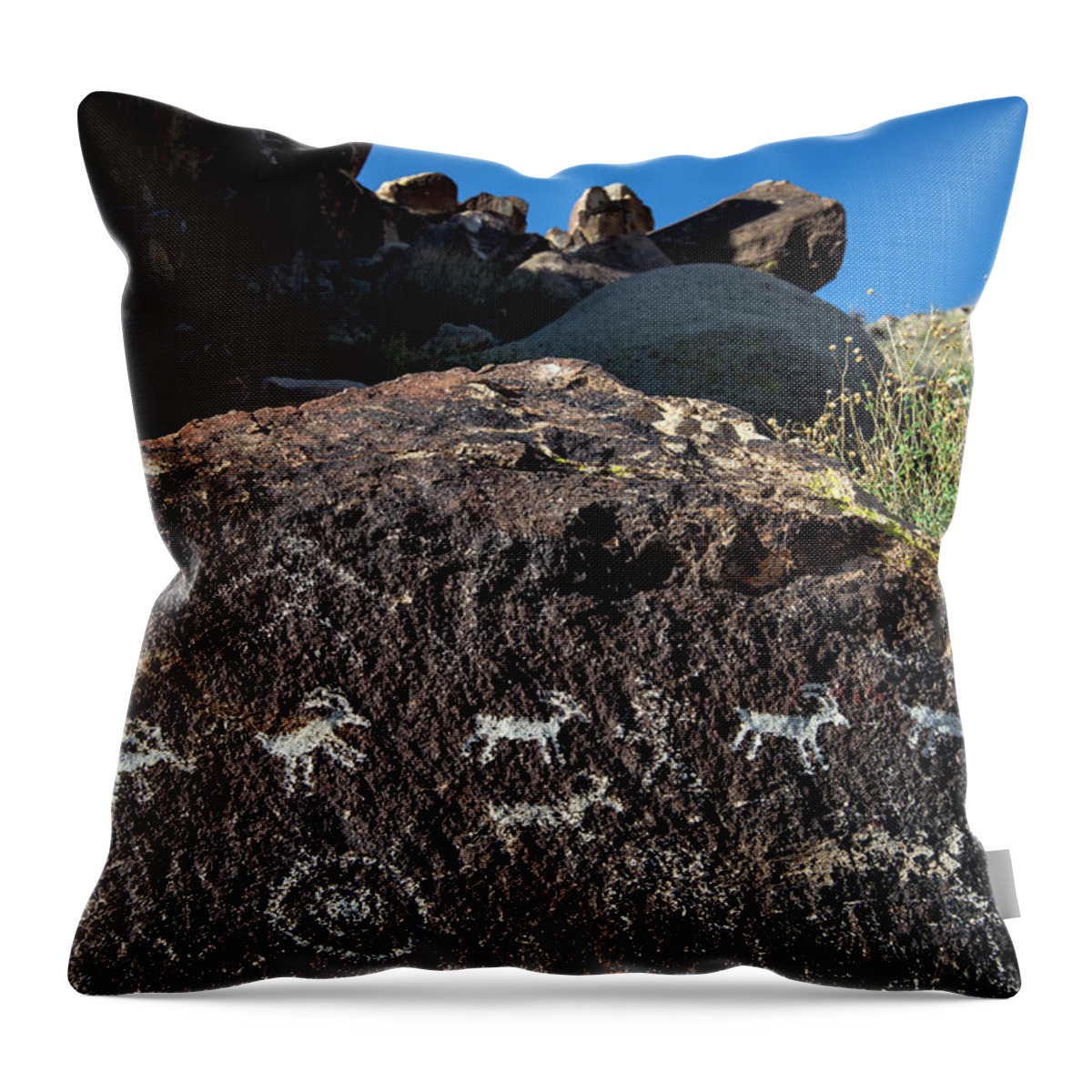 Prehistoric Era Throw Pillow featuring the photograph Prehistoric Rock Art In Grapevine Canyon by Mark Newman
