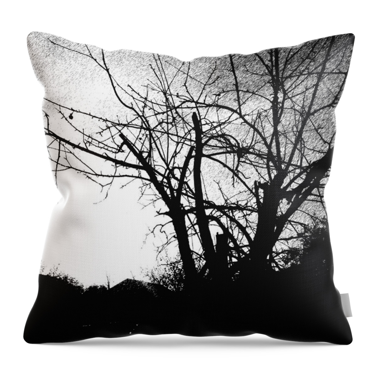 Winter Throw Pillow featuring the photograph Premonition of winter by Viaruss Ut-Gella