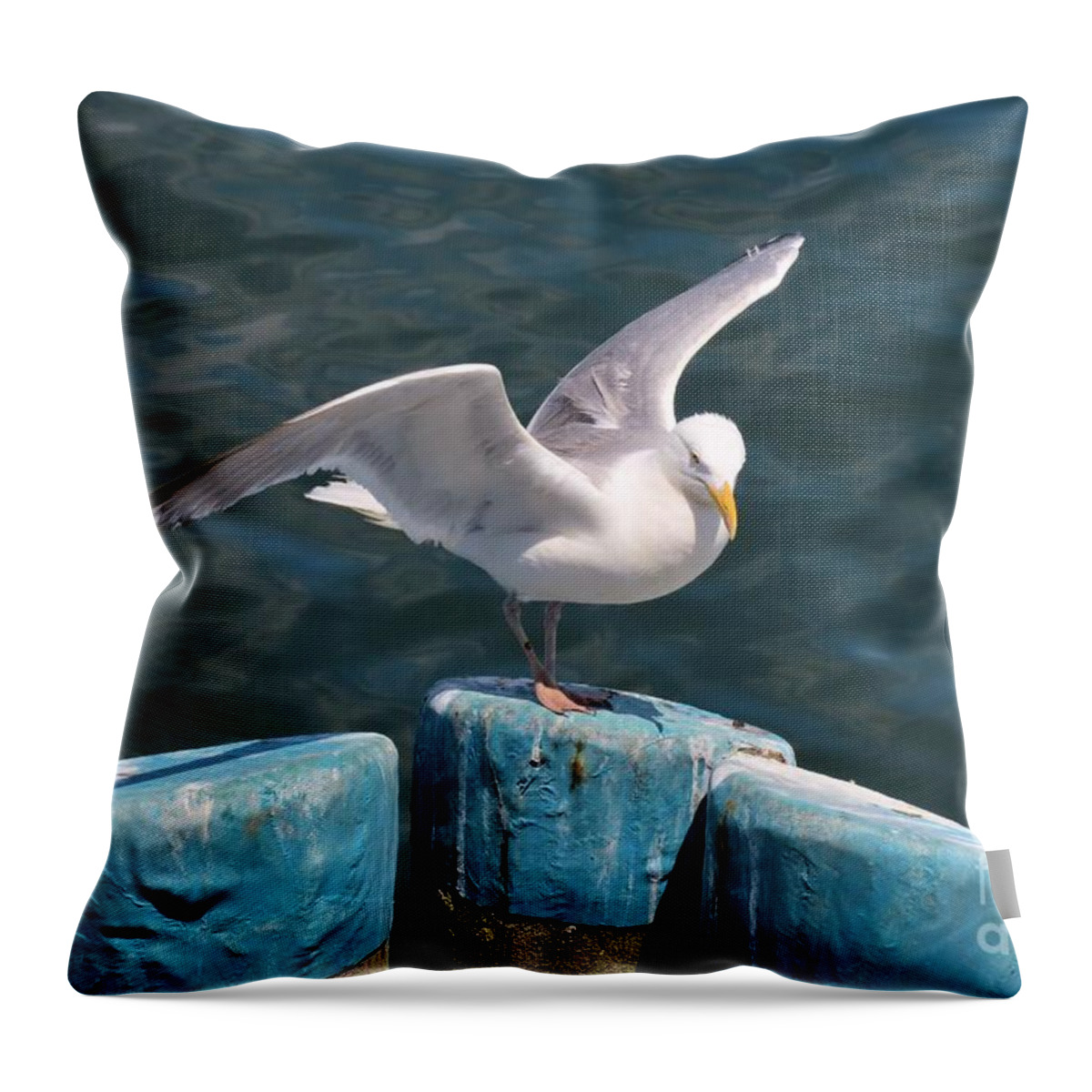 Seagull Throw Pillow featuring the photograph Prepare for Flight by Tammie Miller
