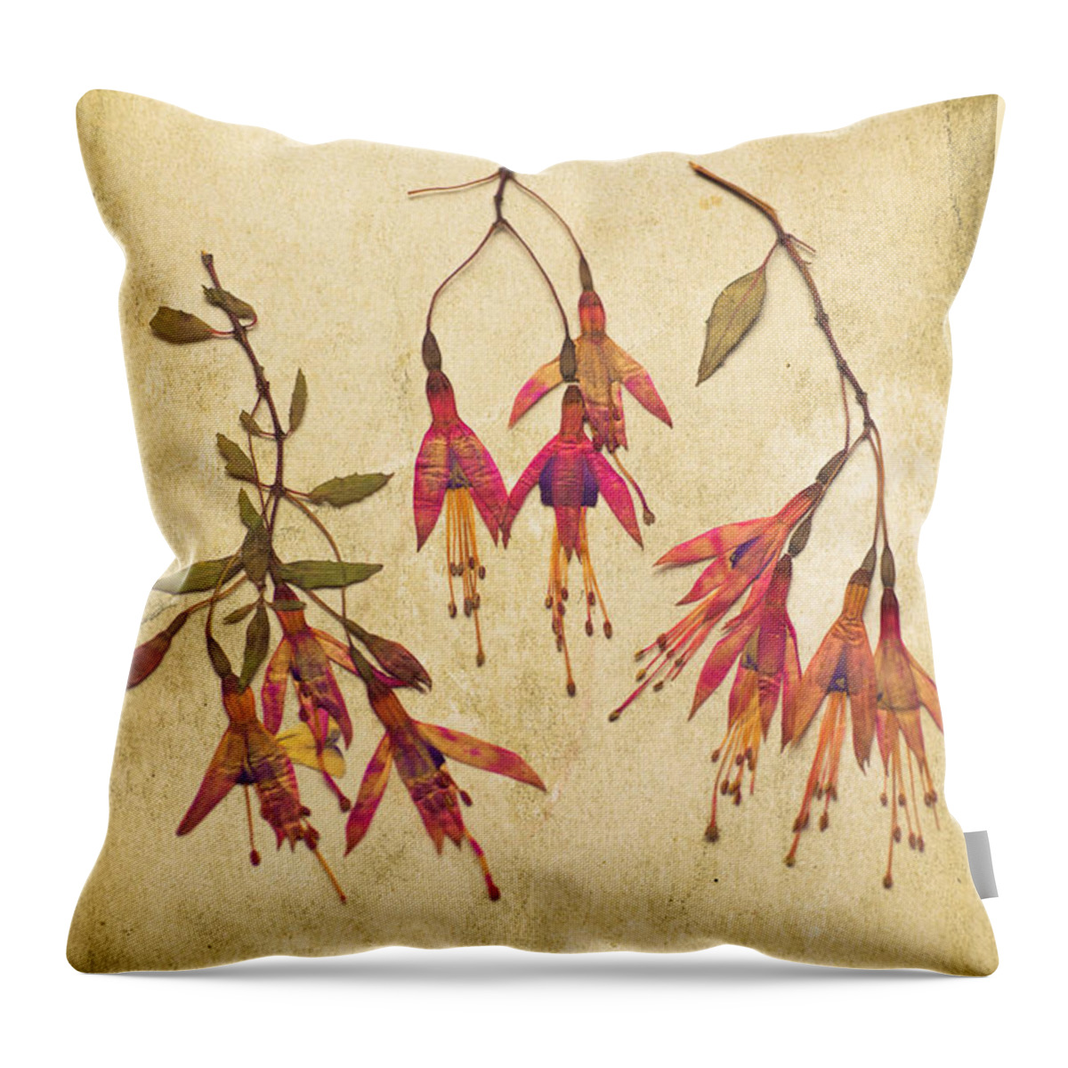 Flower Throw Pillow featuring the photograph Pressed Fuchsia Flowers by Jan Bickerton