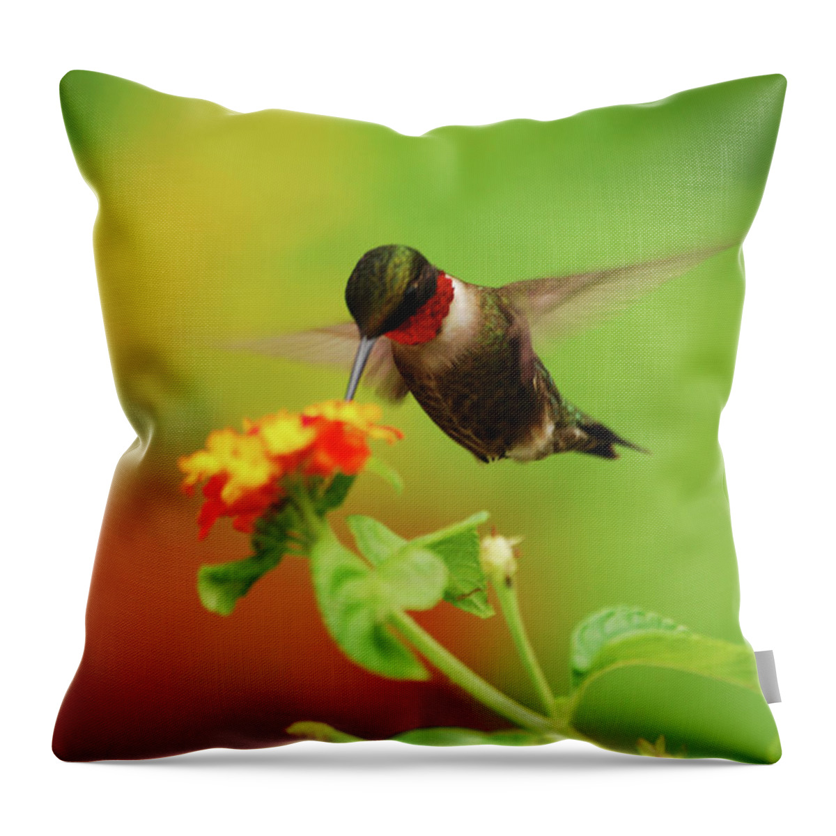 Hummingbird Throw Pillow featuring the photograph Pretty As A Picture by Lori Tambakis