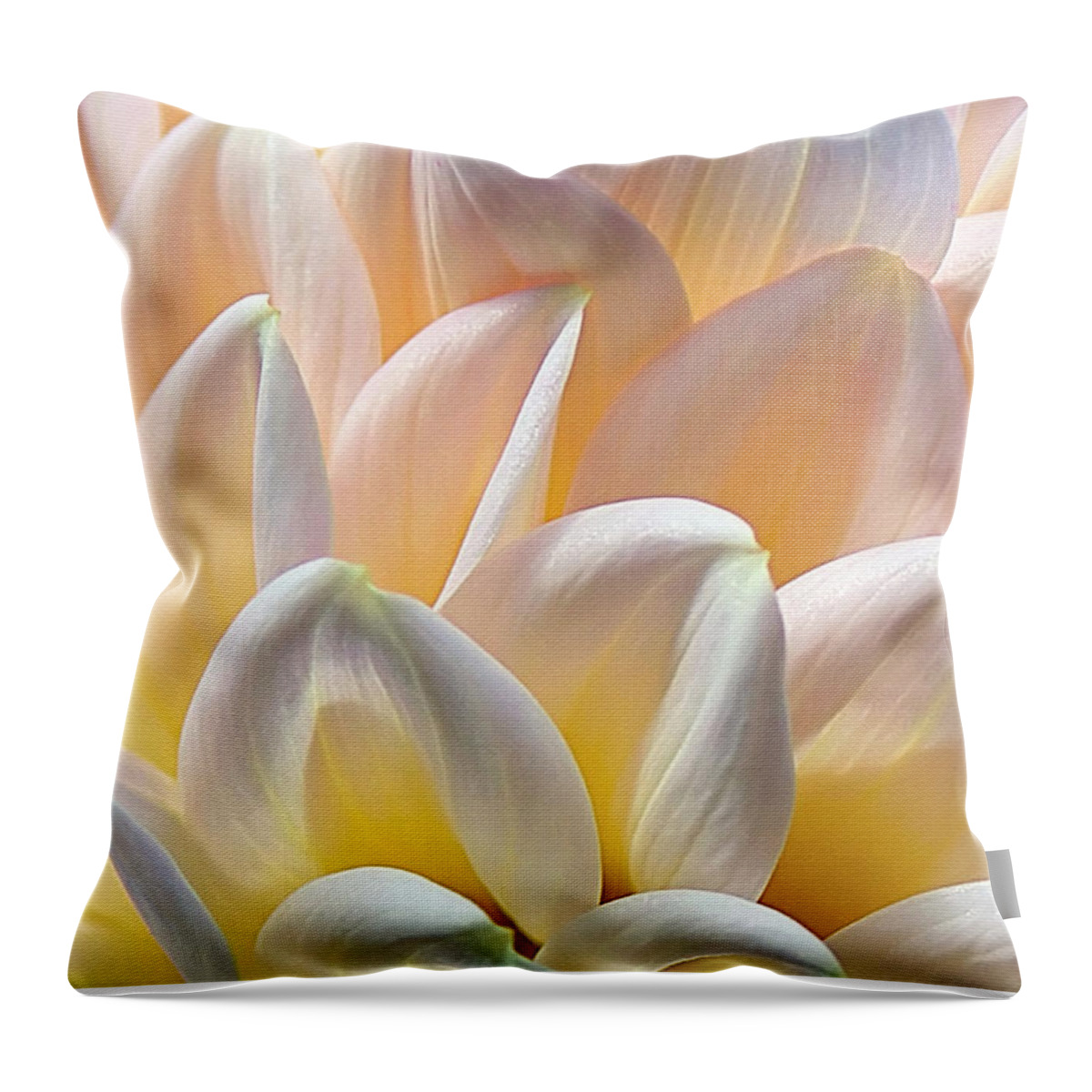 Pretty Pastel Petal Patterns Throw Pillow featuring the photograph Pretty Pastel Petal Patterns by Kaye Menner