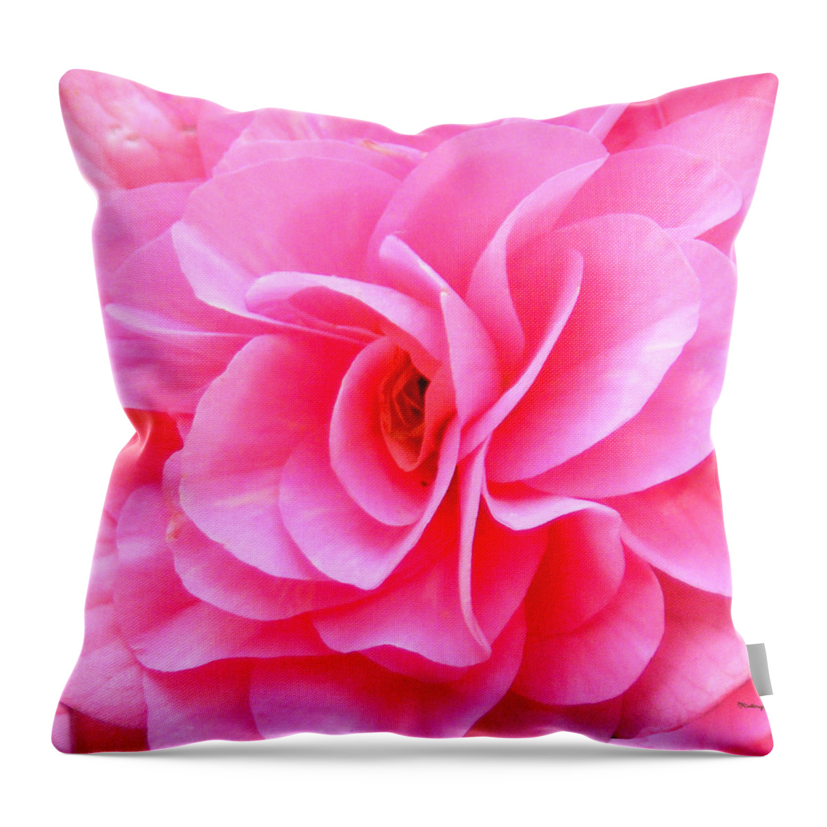 Plants Throw Pillow featuring the photograph Pretty Pink Flower Blossom Upclose by Duane McCullough