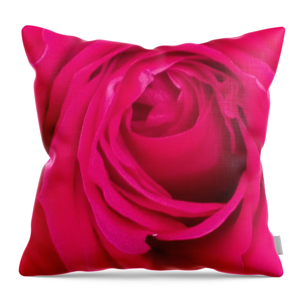 Red Throw Pillow featuring the photograph Pretty Red Rose by Marian Lonzetta