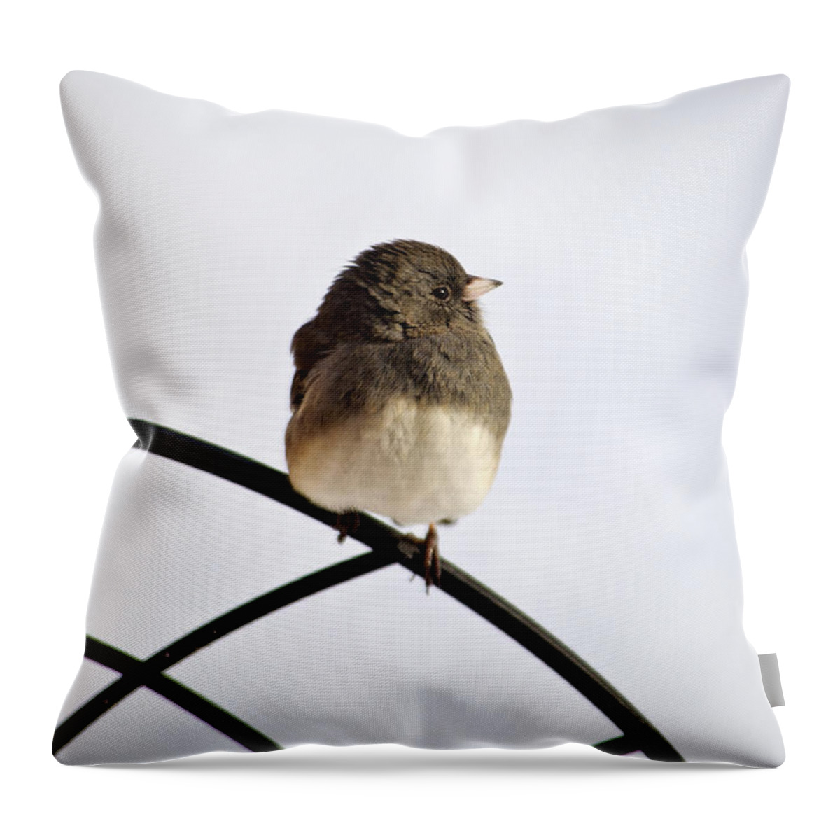 Winter Throw Pillow featuring the photograph Pretty Winter Junco by Christina Rollo