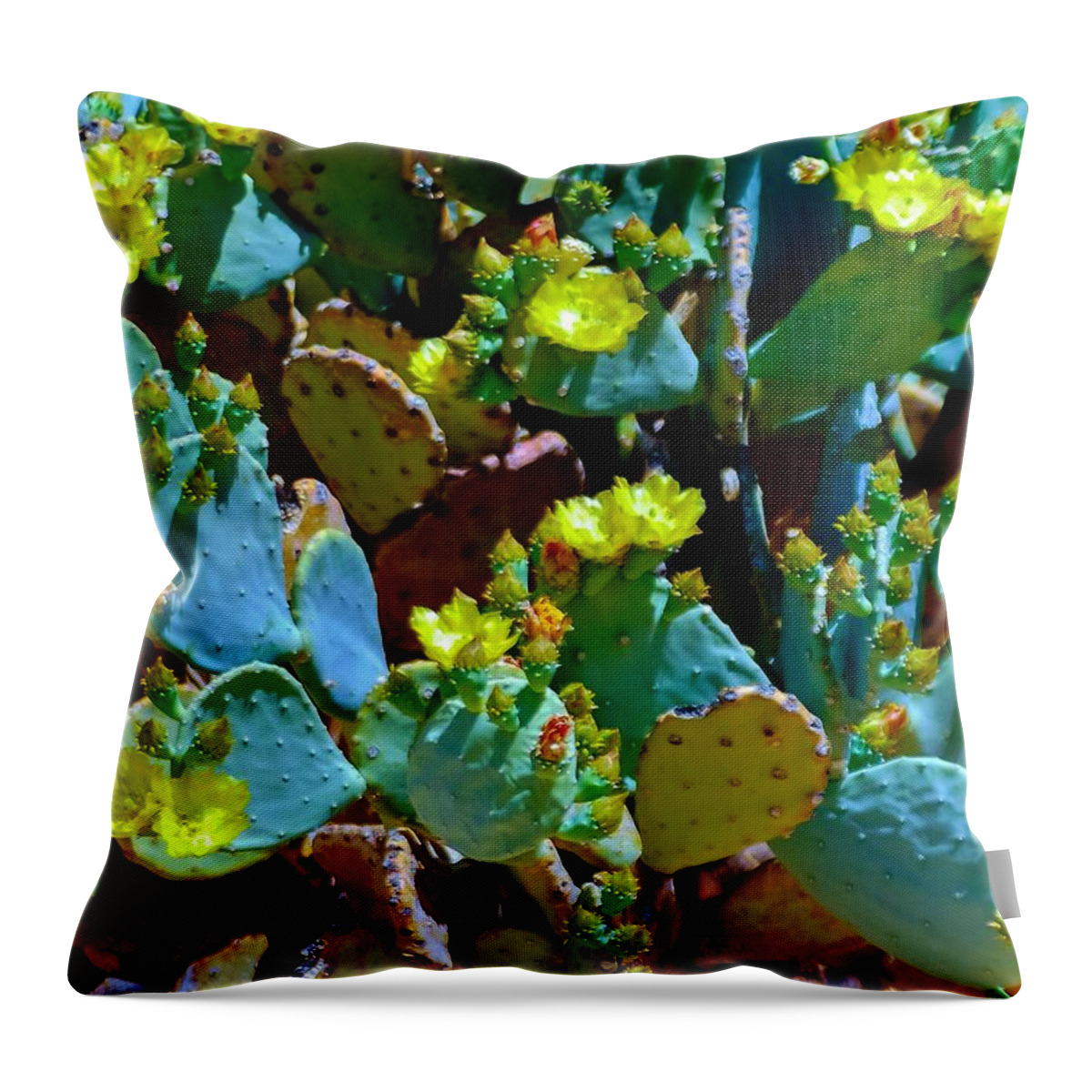 Opuntia Throw Pillow featuring the photograph PricKLy FieLDS by Angela J Wright