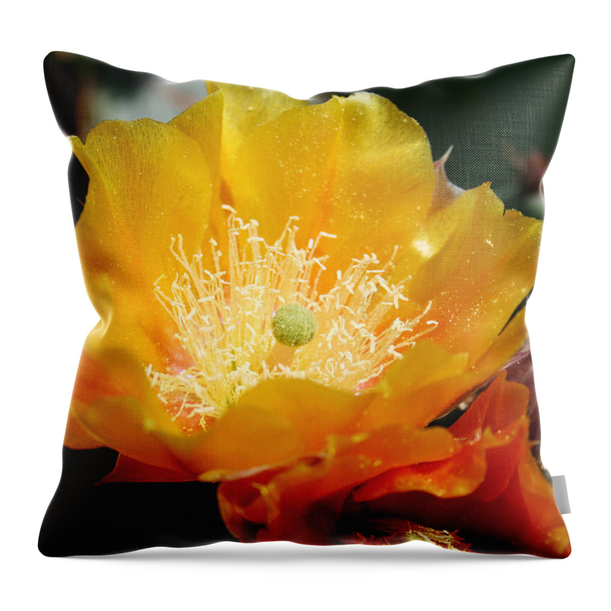 Prickly Pear Blossom Throw Pillow featuring the photograph Prickly Pear Blossom by Ellen Henneke