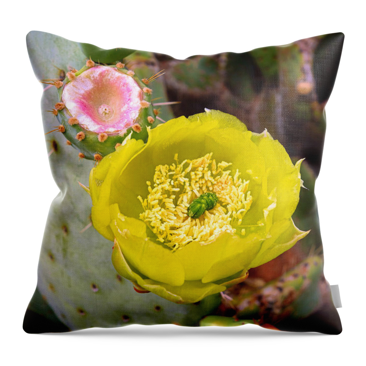 Prickly Pear Throw Pillow featuring the photograph Prickly Pear Flower and Fruit by Robert Meyers-Lussier