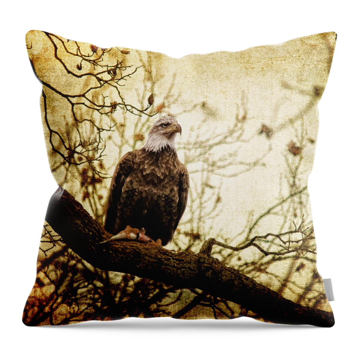 Eagle Throw Pillow featuring the photograph Pride by Lois Bryan