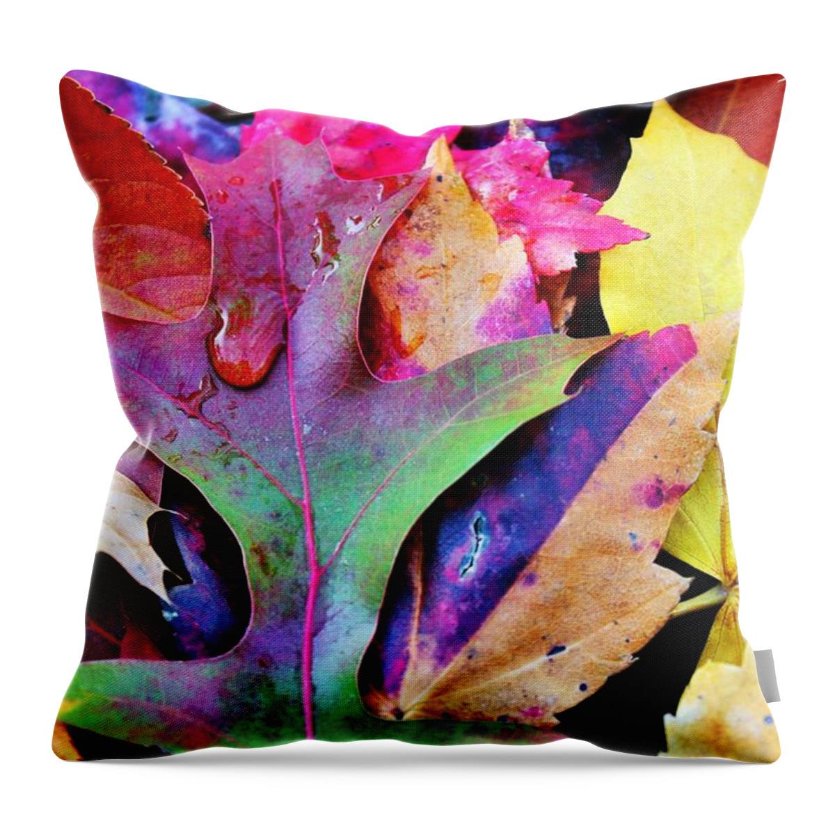 Autumn Throw Pillow featuring the photograph Primary Colors Of Fall by Judy Palkimas
