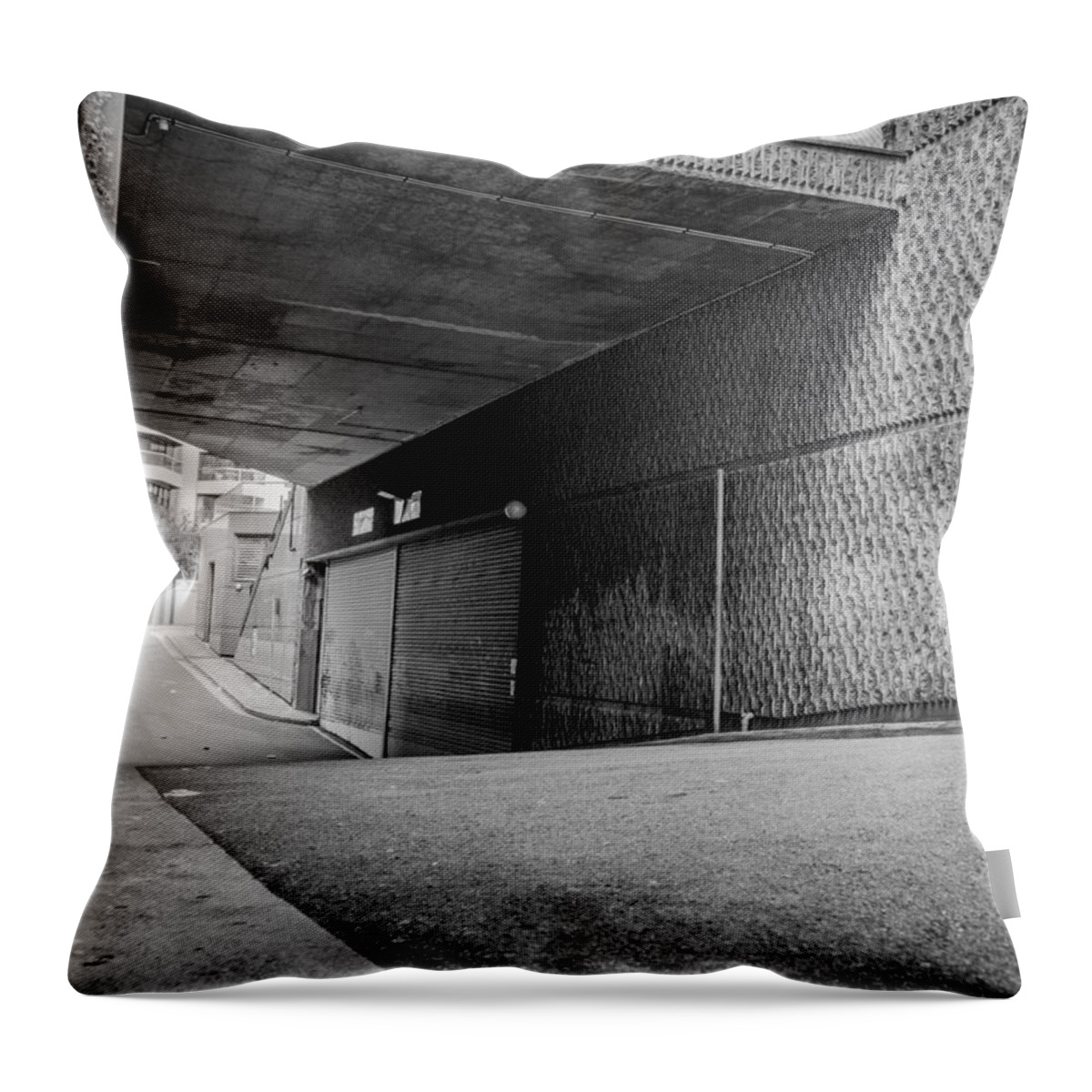Alley Throw Pillow featuring the photograph Private Property by Kaleidoscopik Photography