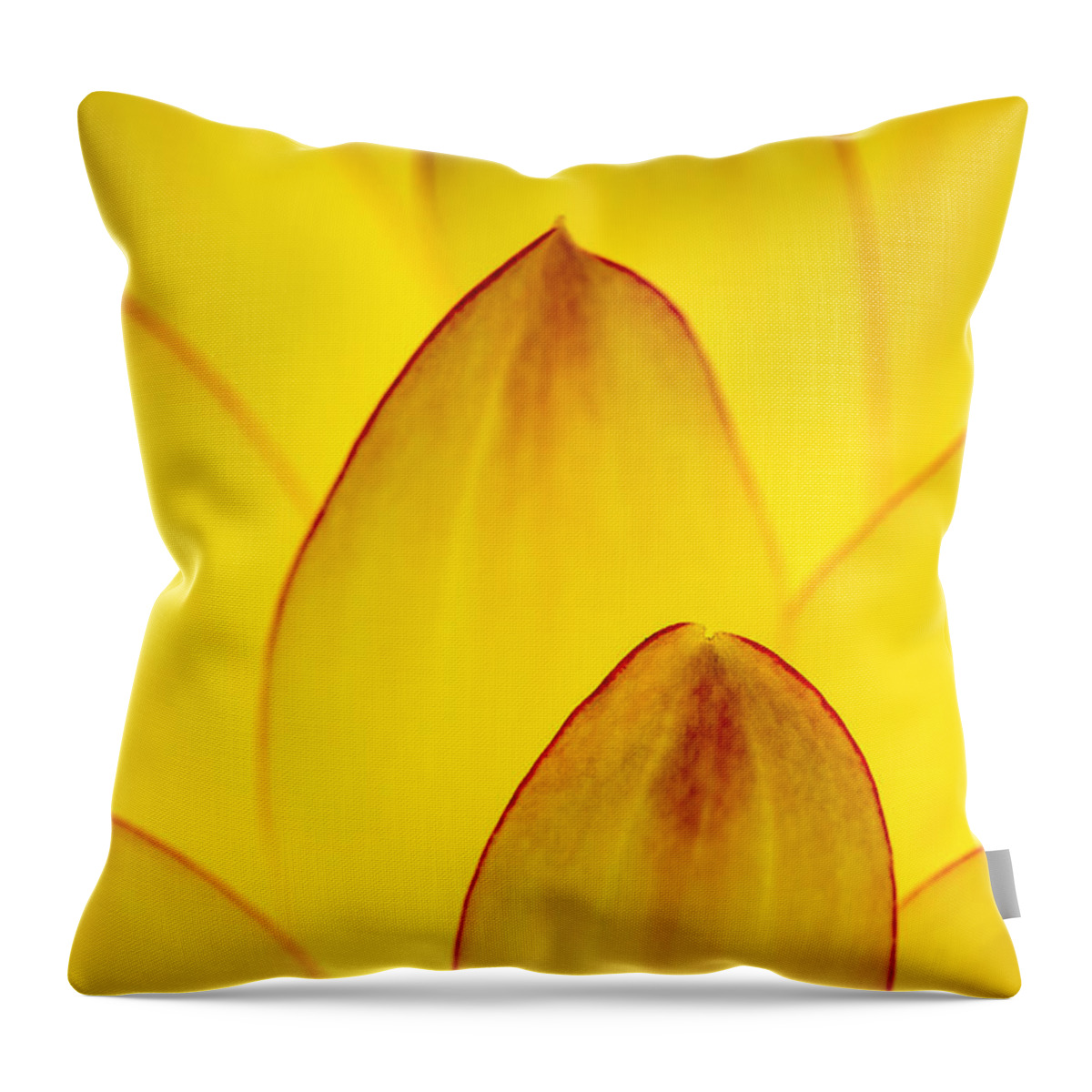 Flower Throw Pillow featuring the photograph Profiles in Petals by Greg Nyquist