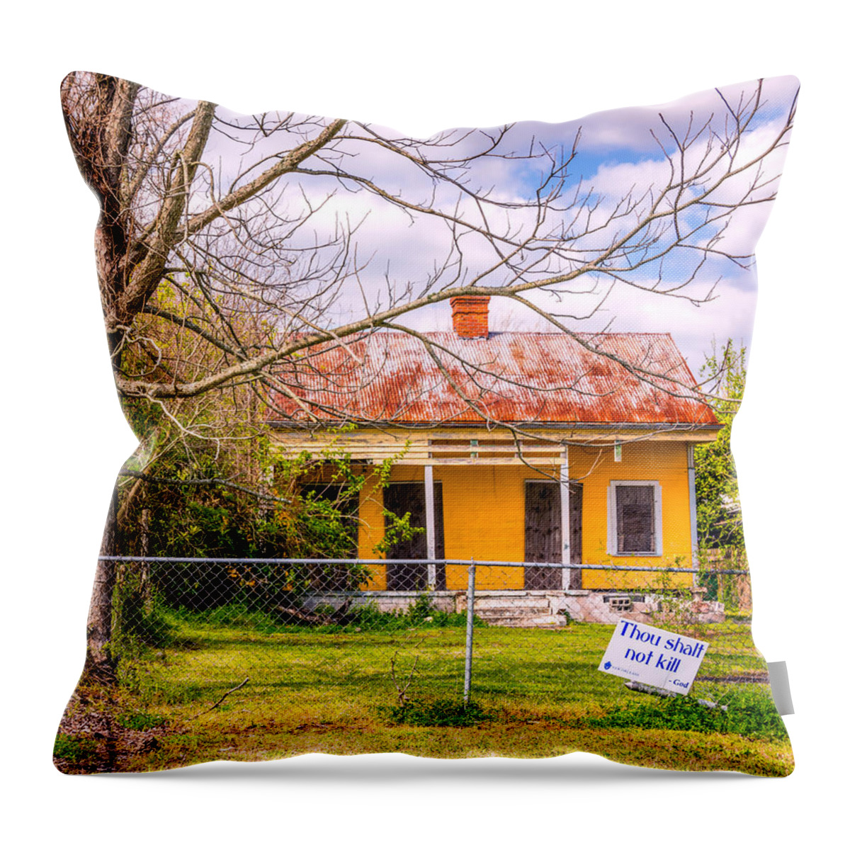 God Throw Pillow featuring the photograph Promoting the Obvious by Steve Harrington