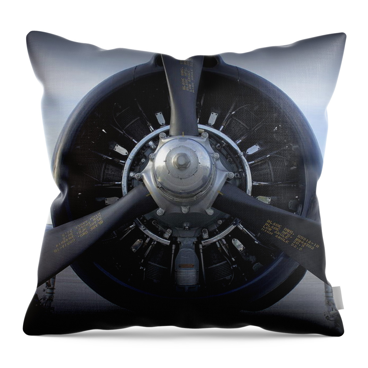 Propeller Throw Pillow featuring the photograph Props by Laurie Perry