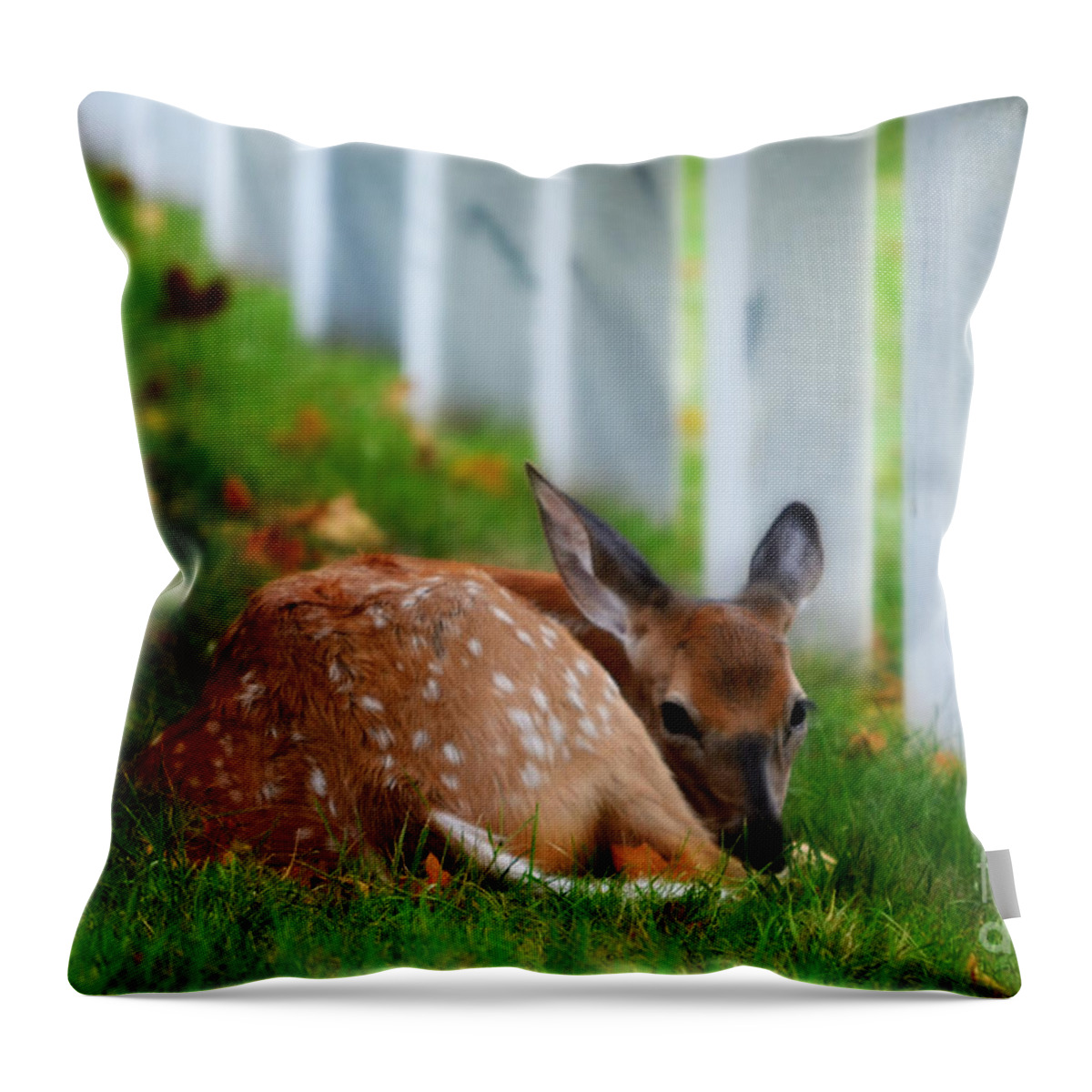 Landscape Throw Pillow featuring the photograph Protecting Our Heros by Peggy Franz