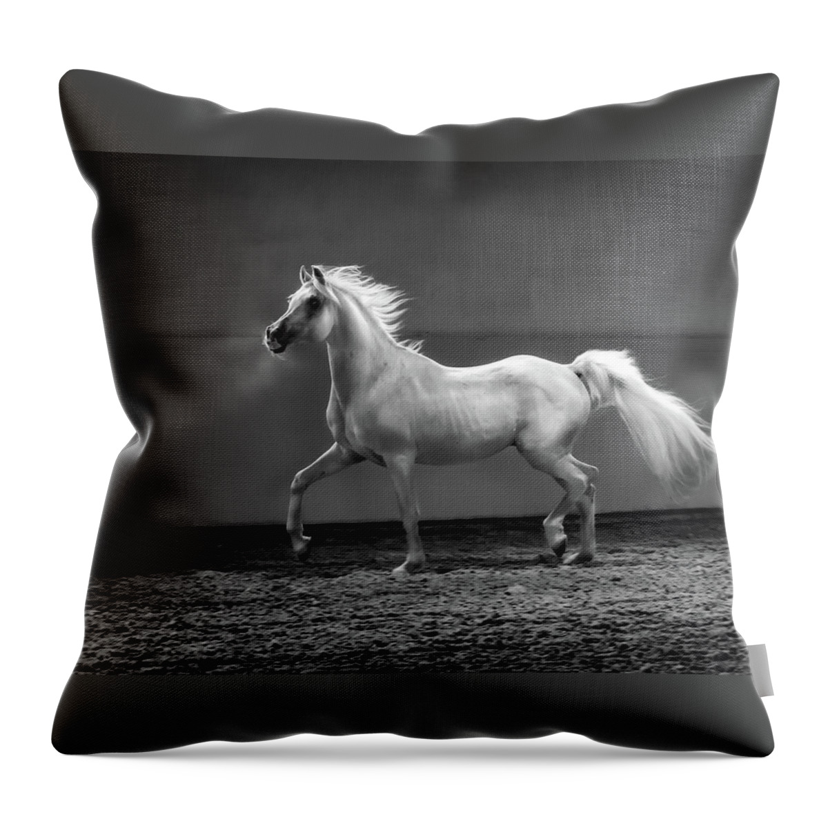 Horse Throw Pillow featuring the photograph Proud Arabian Horse - Stallion In by Kerrick