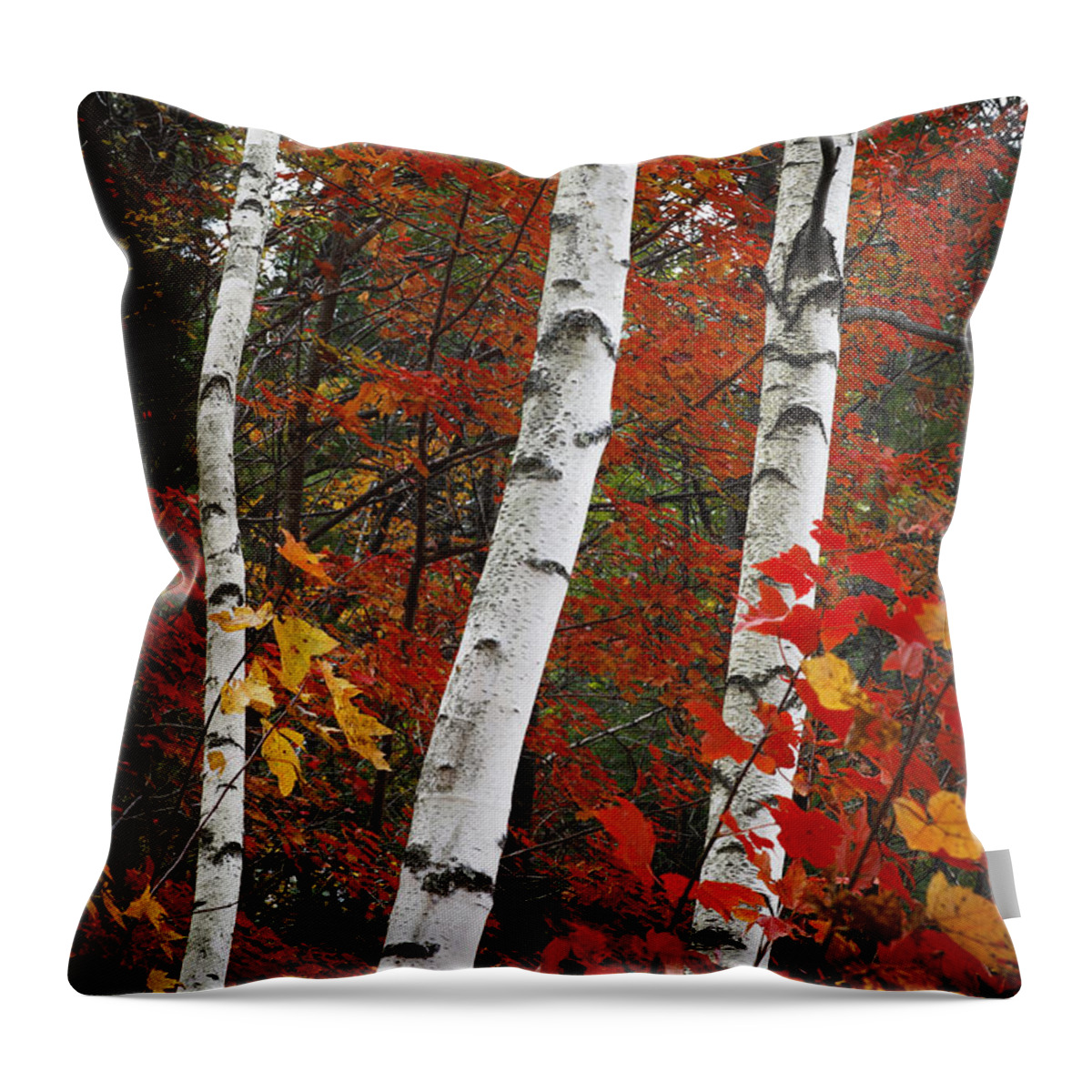 Landscape Throw Pillow featuring the photograph Proud by Dominique Dubied
