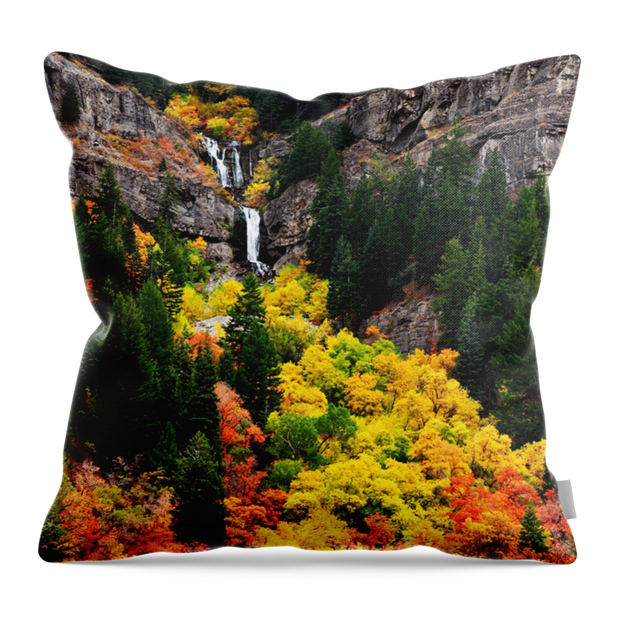 Water Throw Pillow featuring the photograph Provo Canyon Falls, Utah by TL Mair