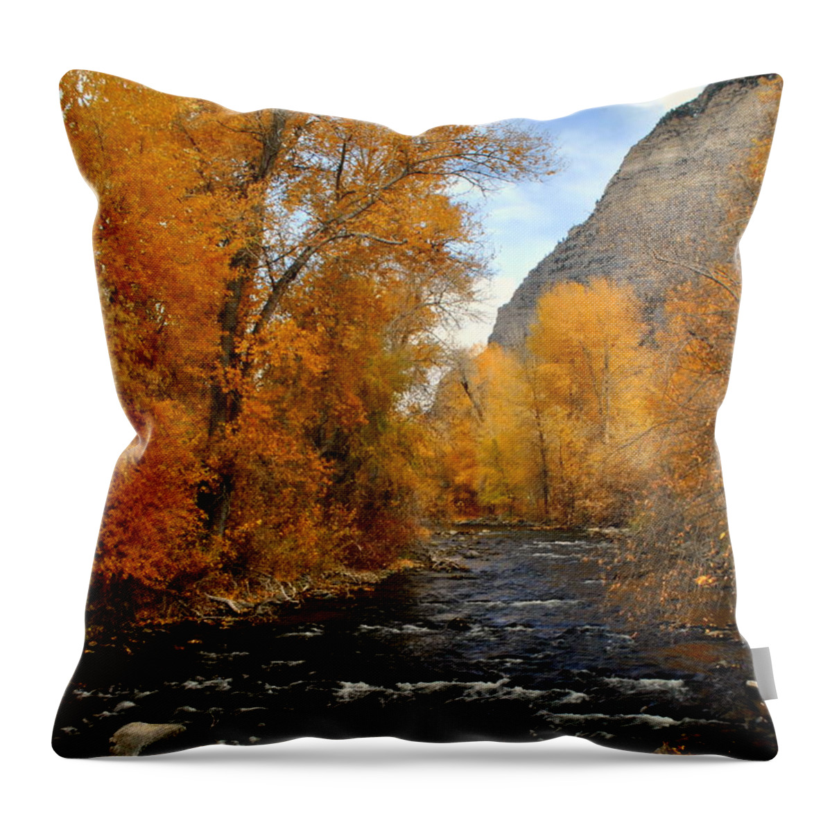 Fall Throw Pillow featuring the photograph Provo River Utah by Nathan Abbott