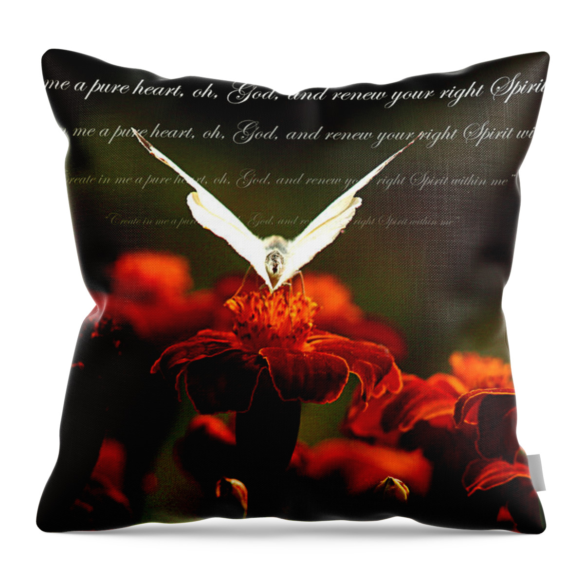 Pure Throw Pillow featuring the photograph Psalm 51 10 by Emanuel Tanjala