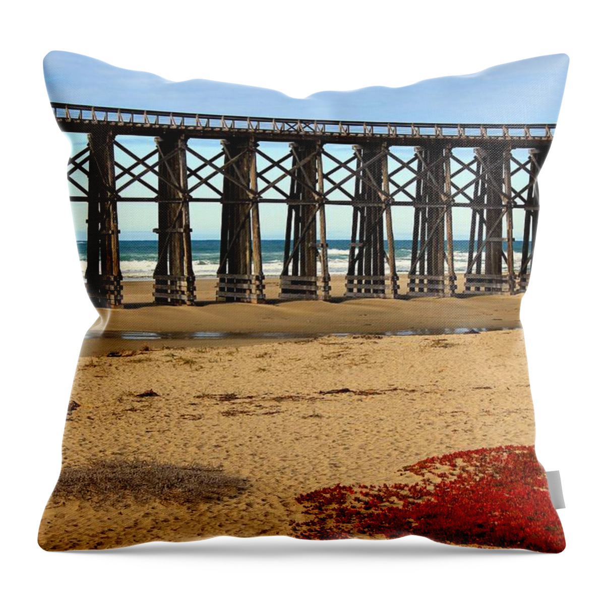 Bridge Throw Pillow featuring the photograph Pudding Creek Bridge by Leigh Meredith