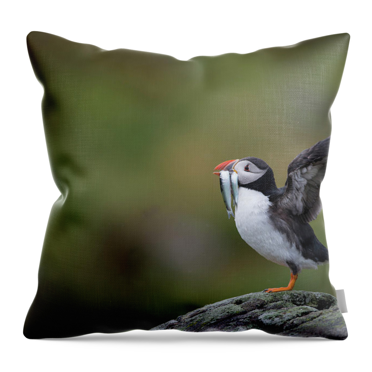 Care Throw Pillow featuring the photograph Puffin Carrying Sandeels, Isle Of May Uk by Mike Powles