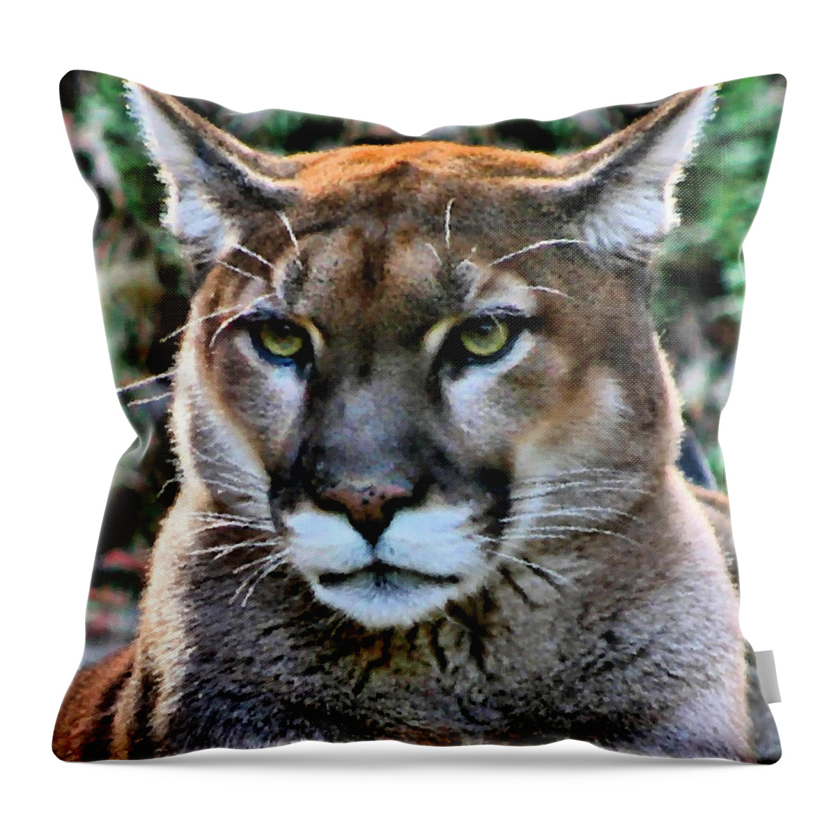 Puma Throw Pillow featuring the photograph Puma by Kristin Elmquist