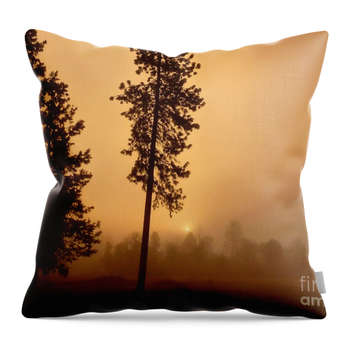 Landscape Throw Pillow featuring the photograph Pumpkin Sunrise by Julia Hassett