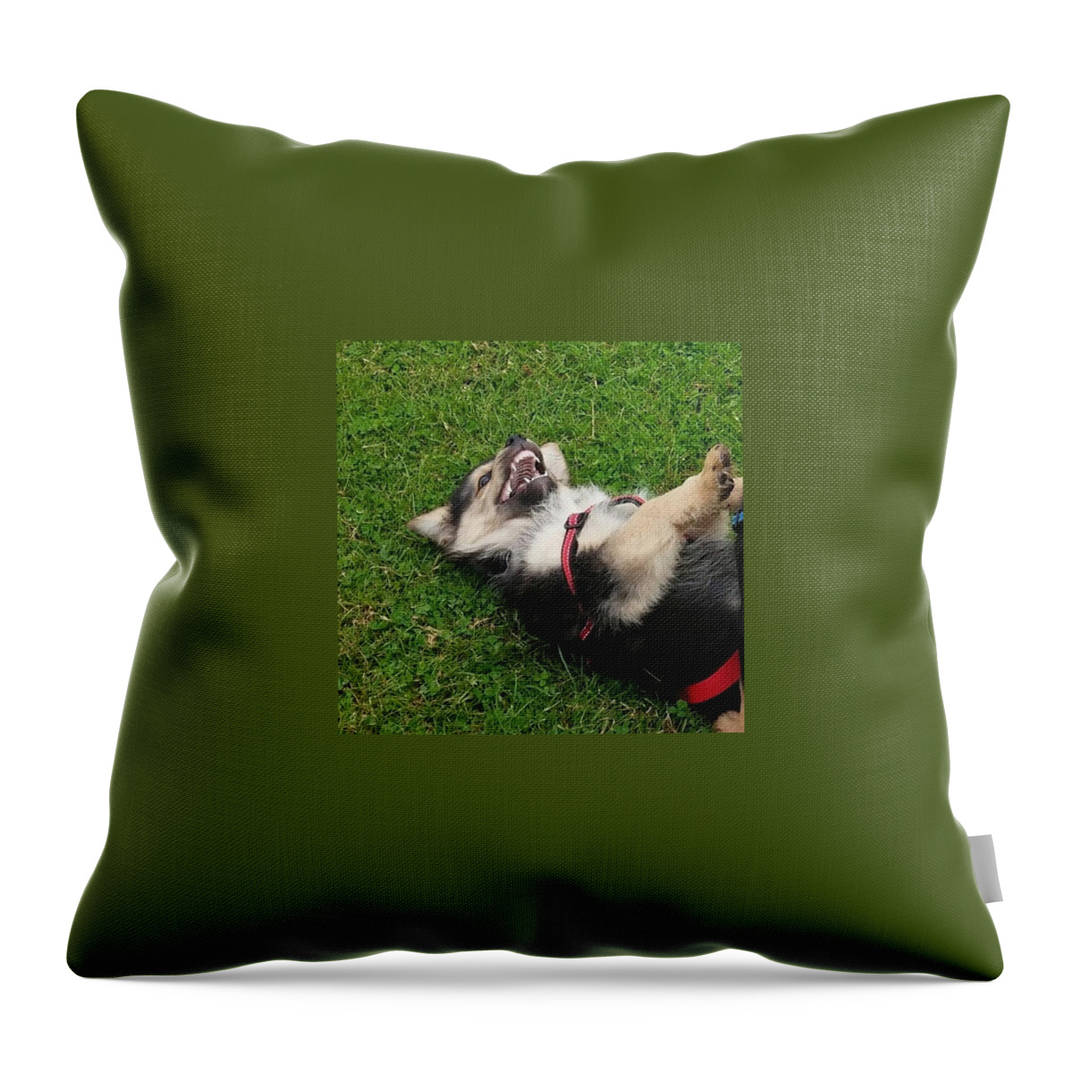 Instadog Throw Pillow featuring the photograph Puppy Teeth!!
#instadog #ilovemydog by Abbie Shores