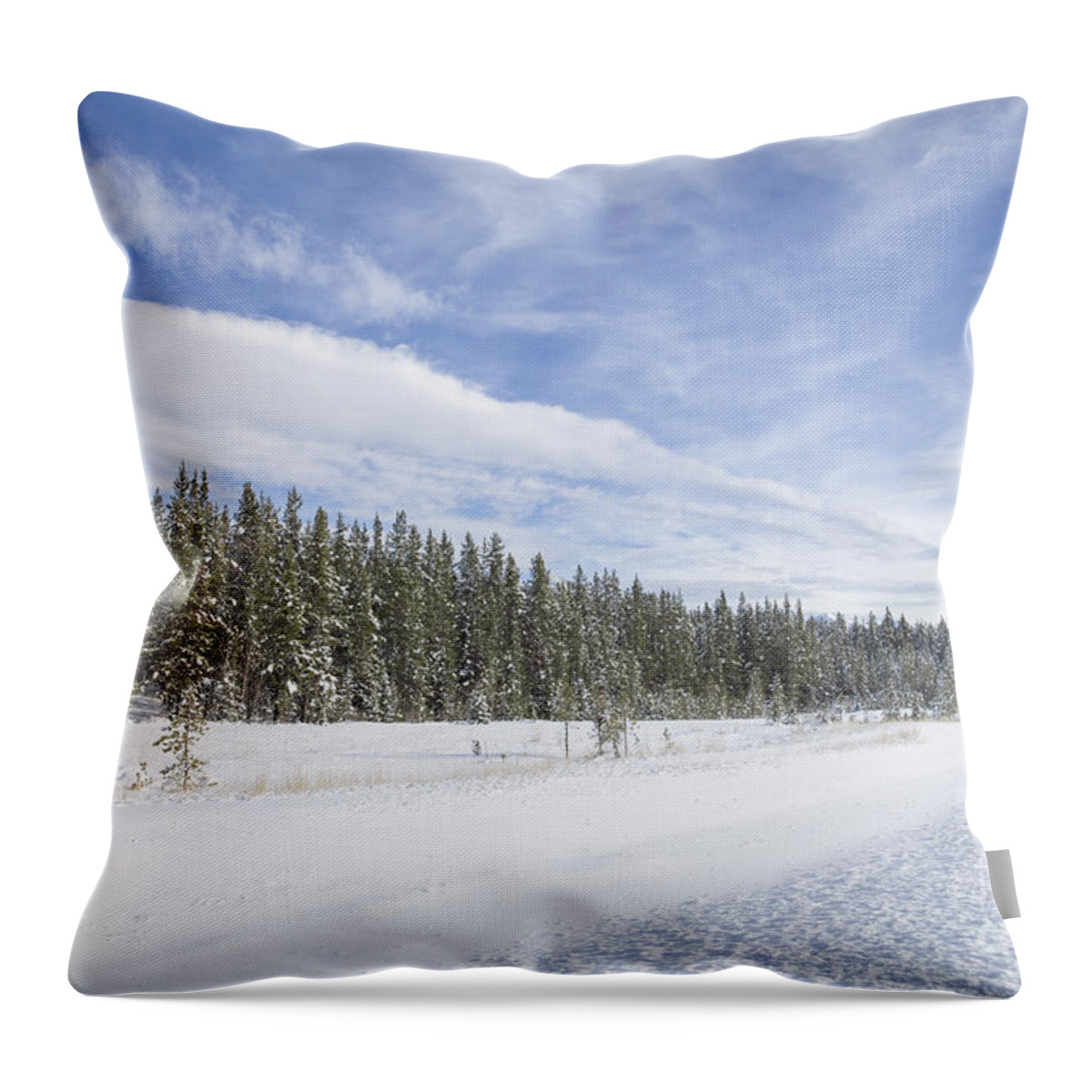 Banff Throw Pillow featuring the photograph Pure Delight by Evelina Kremsdorf