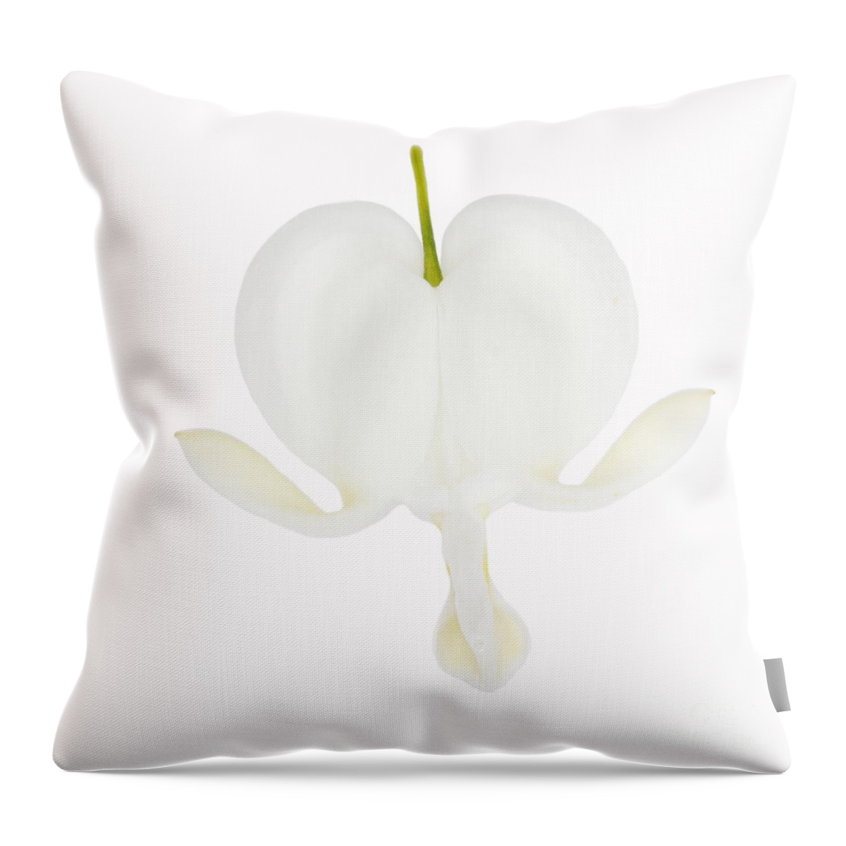 Bleeding Throw Pillow featuring the photograph Pure white heart by HHelene