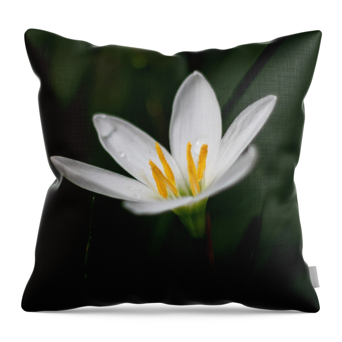 Lily Throw Pillow featuring the photograph Pure White - Lily by Ramabhadran Thirupattur