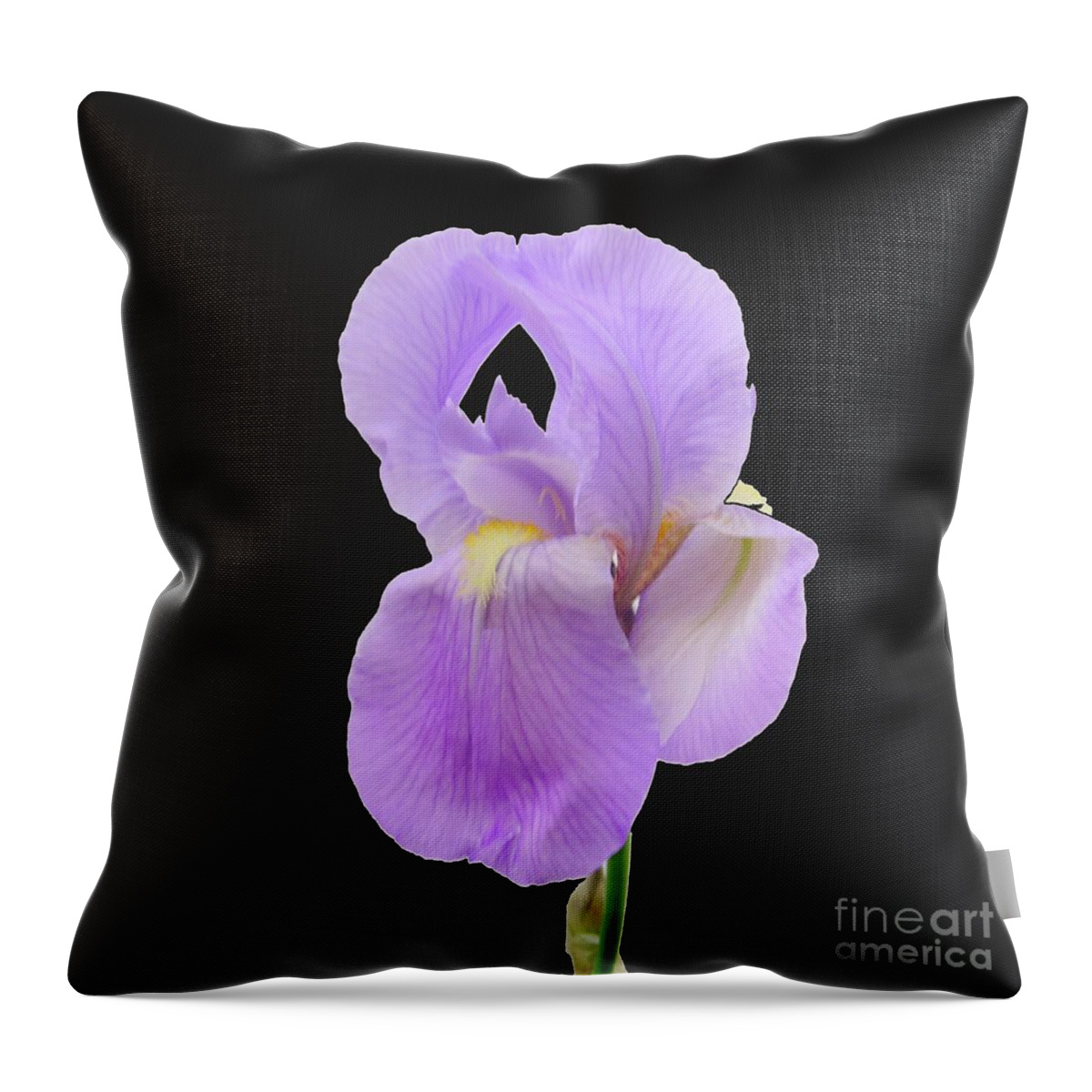 Irises-purple-iris Flower-bearded Iris-large-flower Throw Pillow featuring the photograph Purple Iris #1 by Scott Cameron