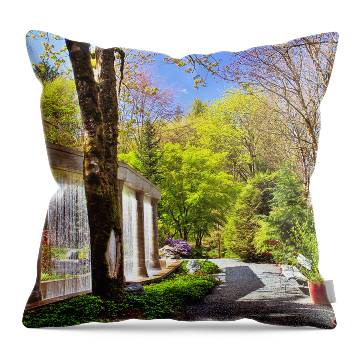 Waterfall Throw Pillow featuring the photograph Purifying walk by Eti Reid