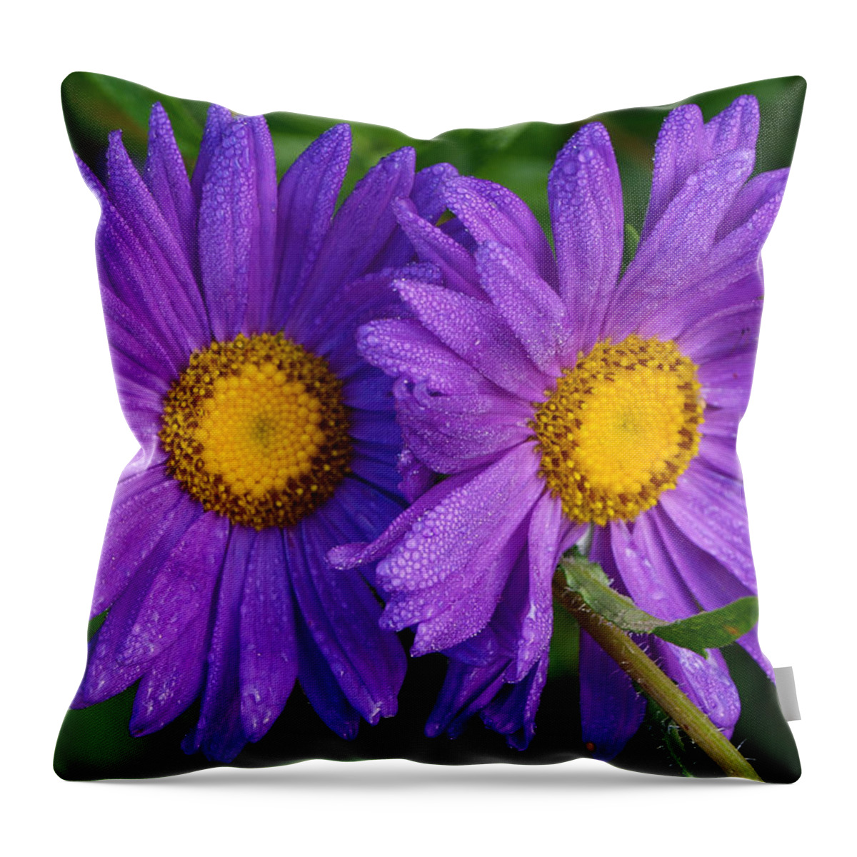 Purity Throw Pillow featuring the photograph Purity by Tom Druin