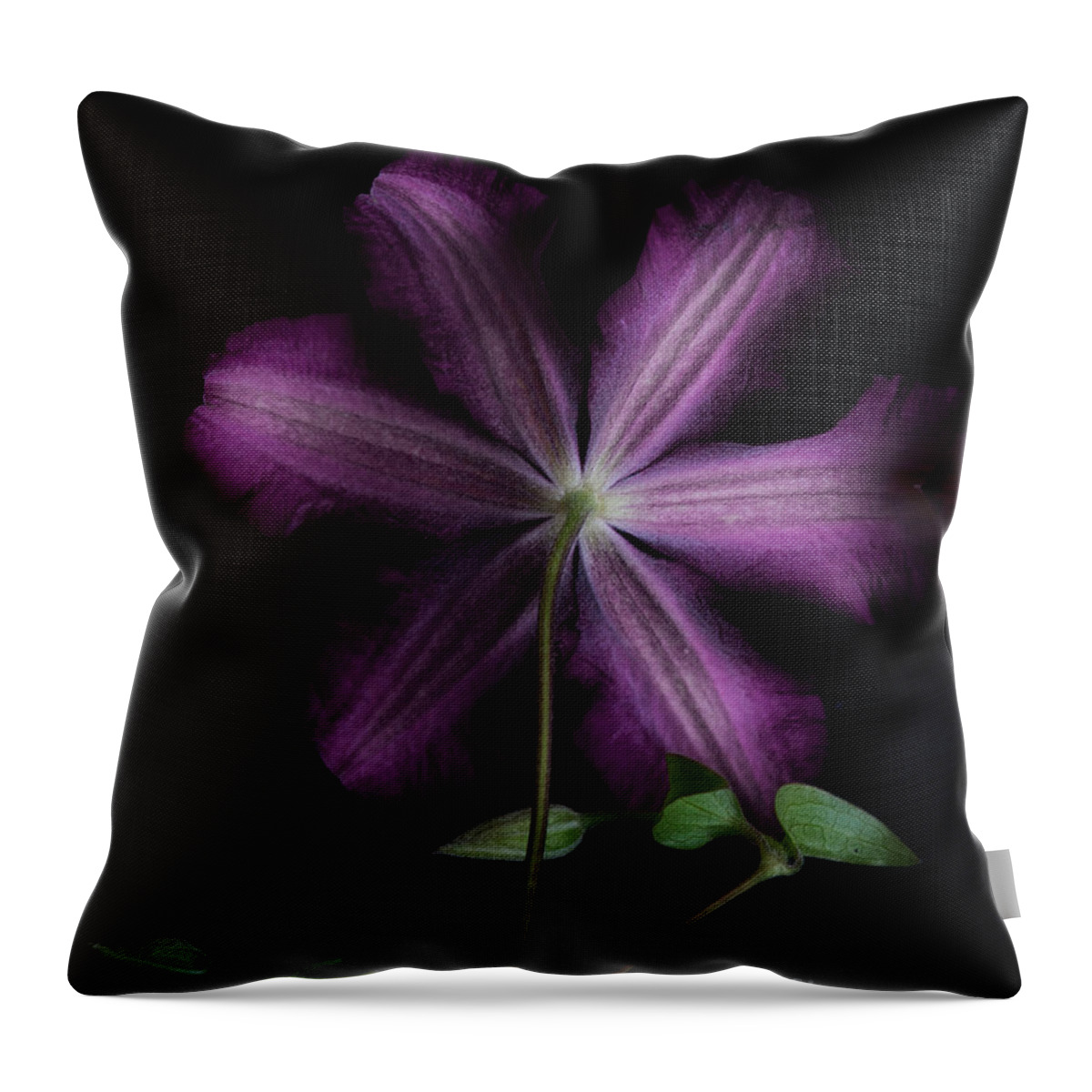 Flower Throw Pillow featuring the photograph Purple by Alana Ranney