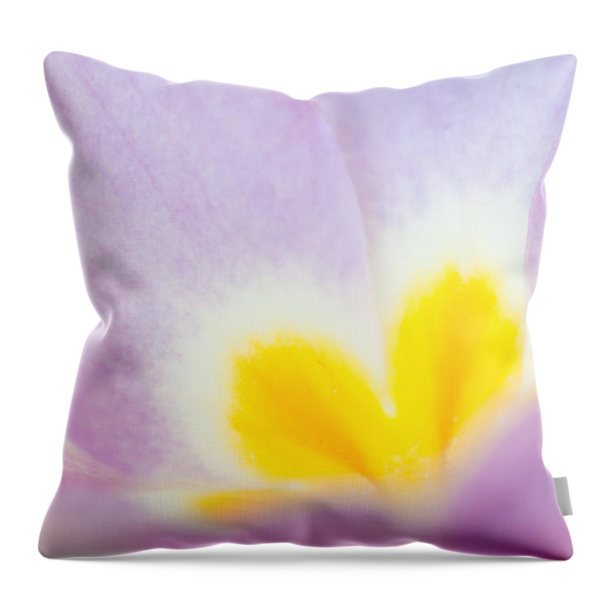 Flower Throw Pillow featuring the photograph Purple and yellow primrose petals - bright and soft spring flower by Matthias Hauser