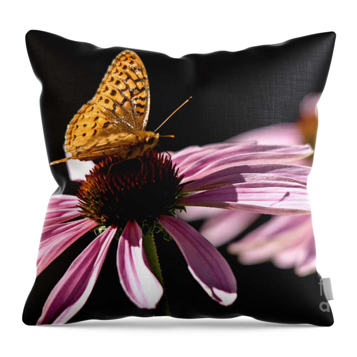 Butterfly Throw Pillow featuring the photograph Purple Cone flowers and Friend by Cheryl Baxter