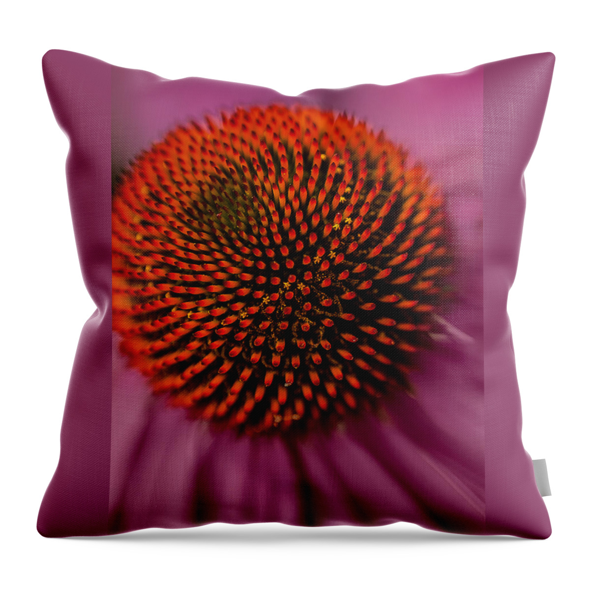 Close-up Throw Pillow featuring the photograph Purple Coneflower by David Smith