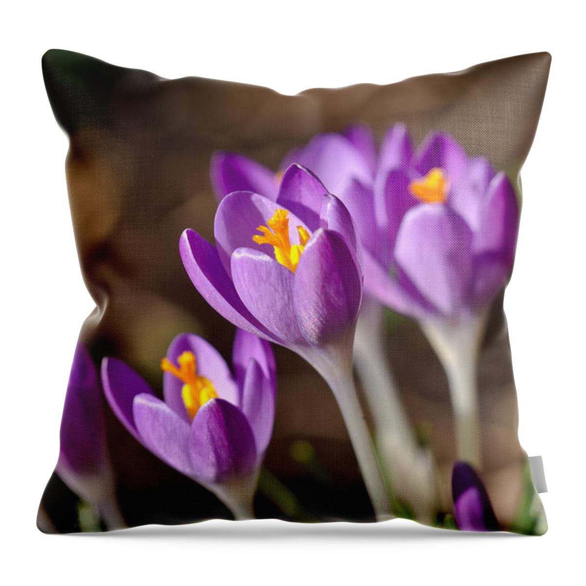 Crocus Throw Pillow featuring the photograph Purple Crocus by Scott Carruthers