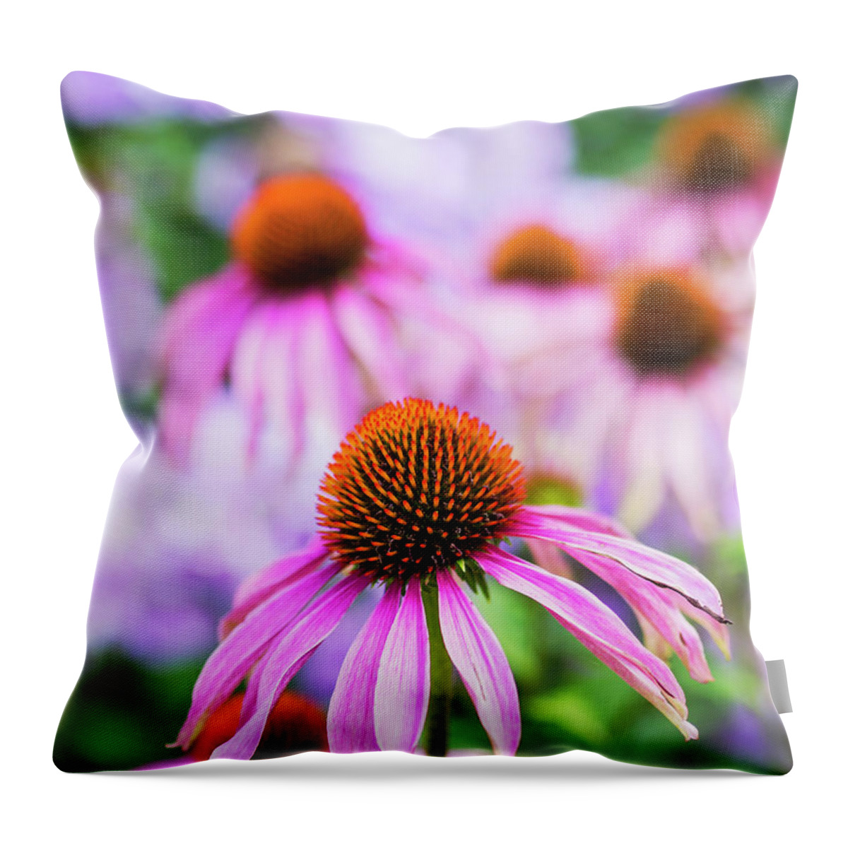 Petal Throw Pillow featuring the photograph Purple Echinacea Or Coneflowers by Doug Armand