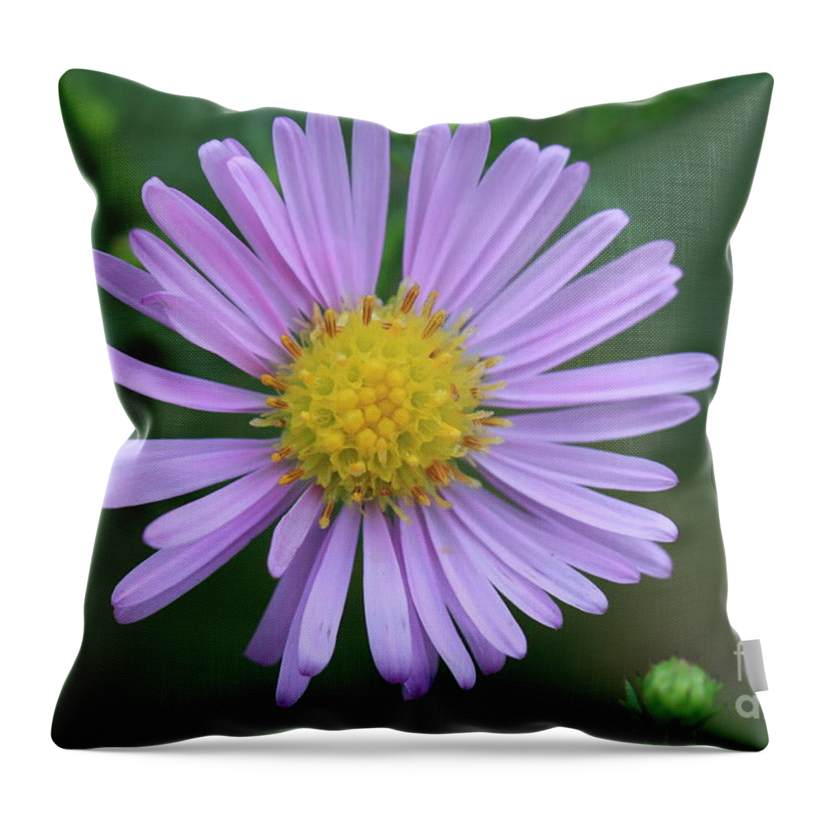 Blossom Throw Pillow featuring the photograph Purple Flower by Amanda Mohler